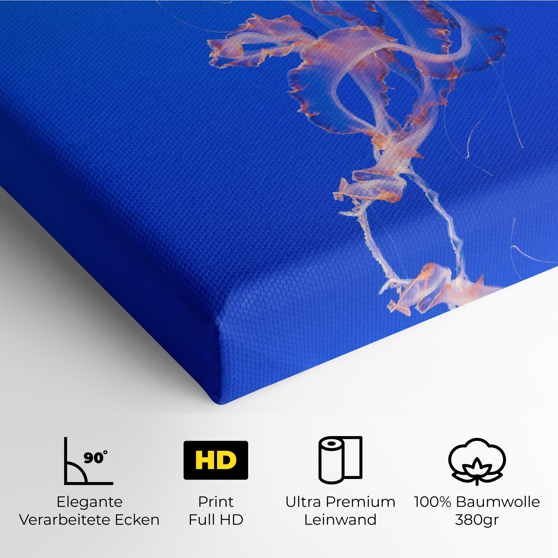 Leinwandbild Pretty White Jellyfish mockup 4