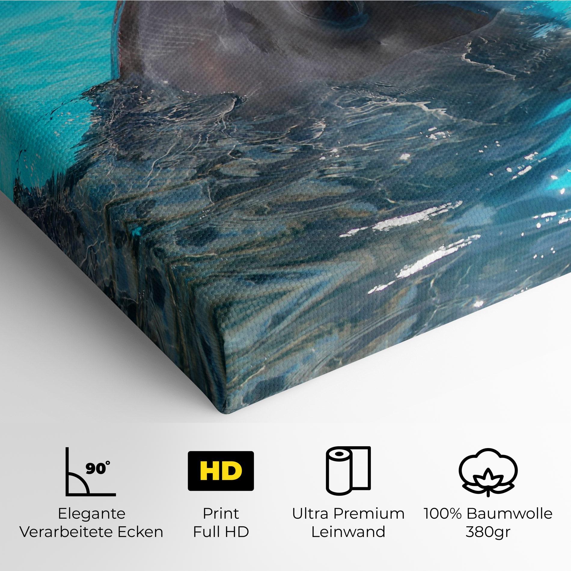 Leinwandbild Trained Dolphin mockup 4