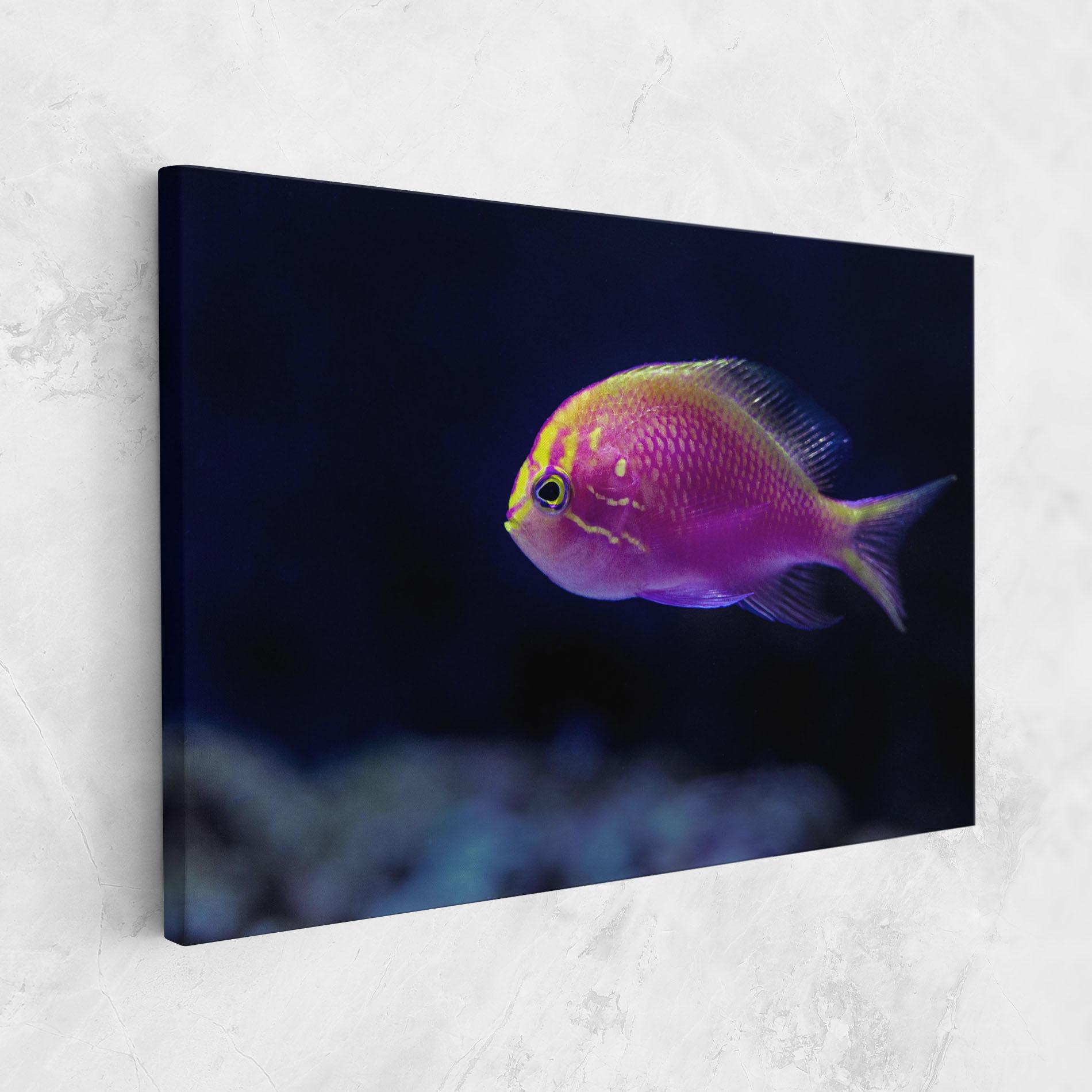 Leinwandbild Angry Pink Fish mockup 1