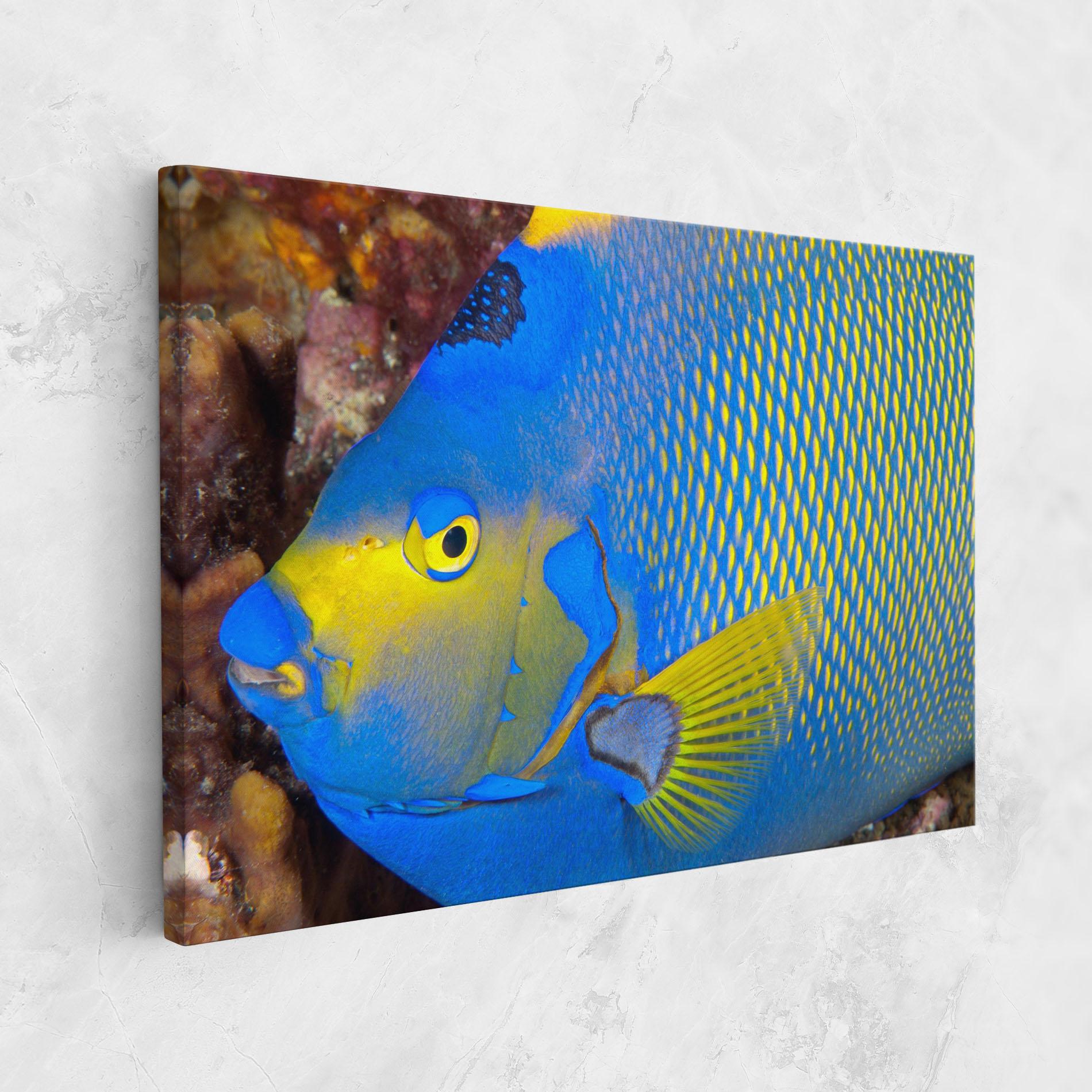 Leinwandbild Blue Yellow Fish mockup 1