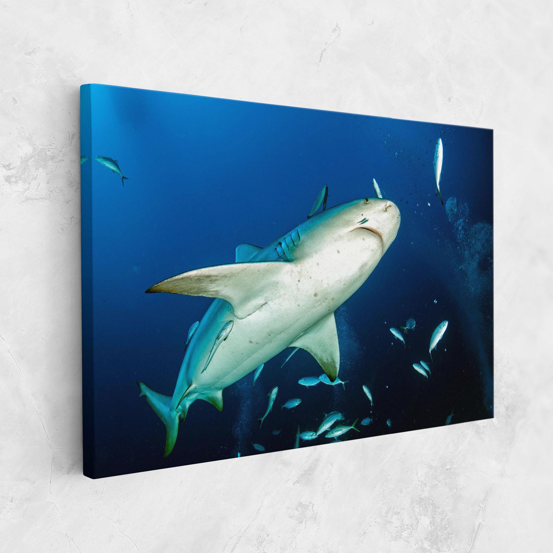 Leinwandbild Bull Shark mockup 1
