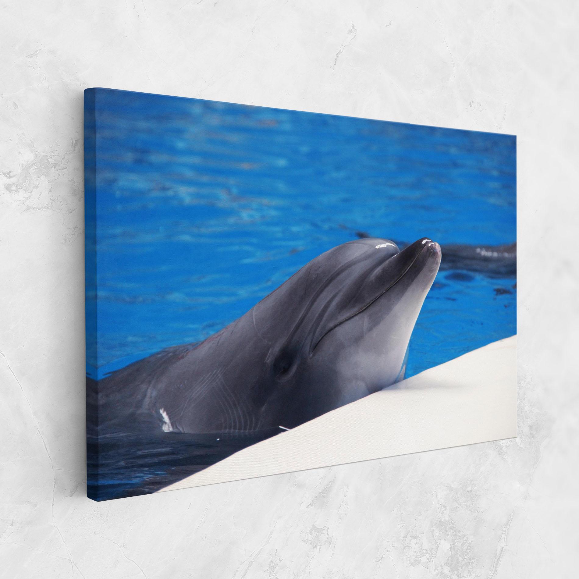 Leinwandbild Cute Dolphin mockup 1