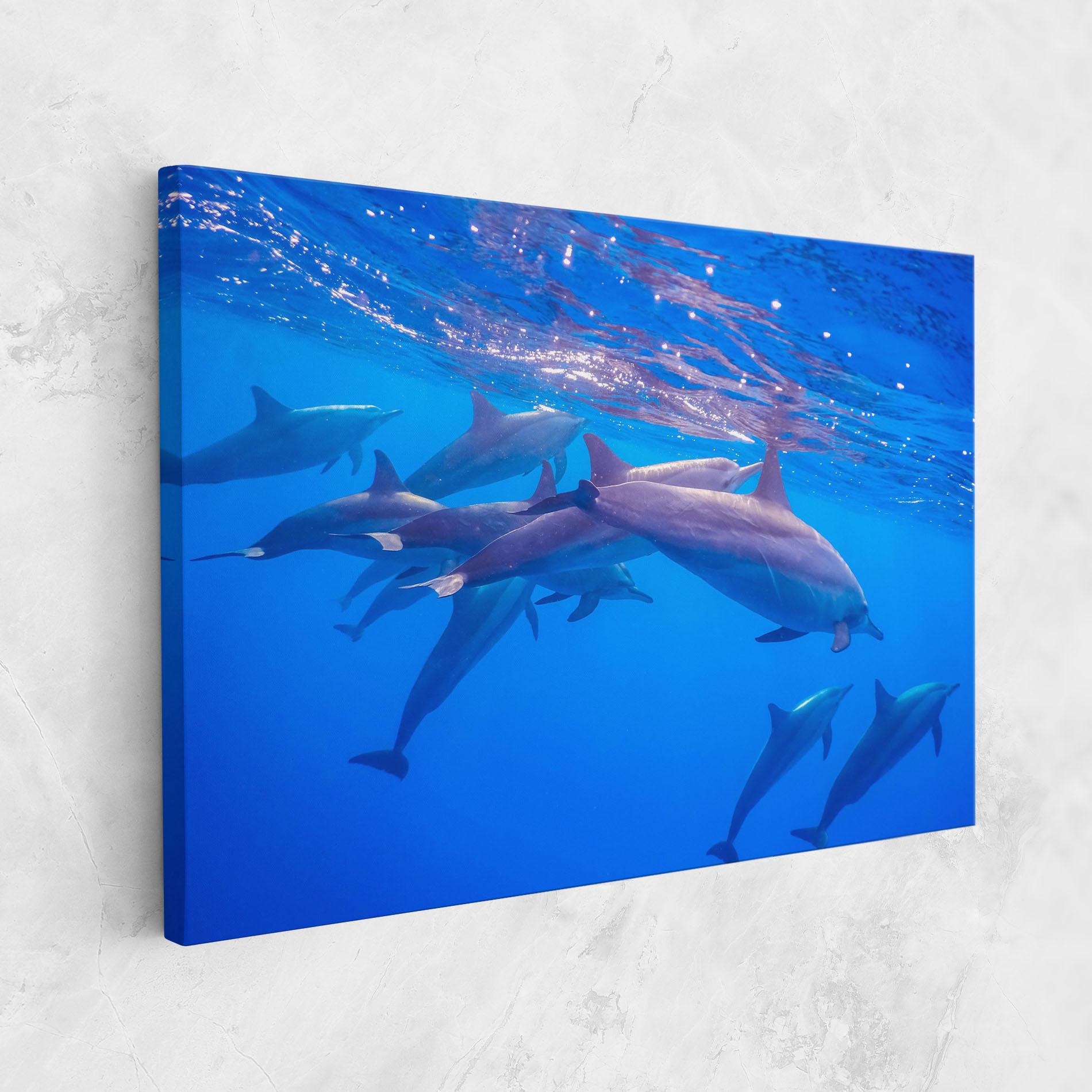 Leinwandbild Dolphin Family mockup 1