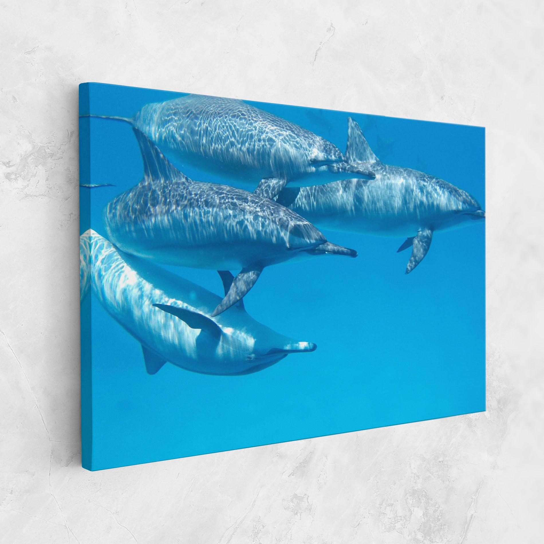 Leinwandbild Family Of Dolphins mockup 1