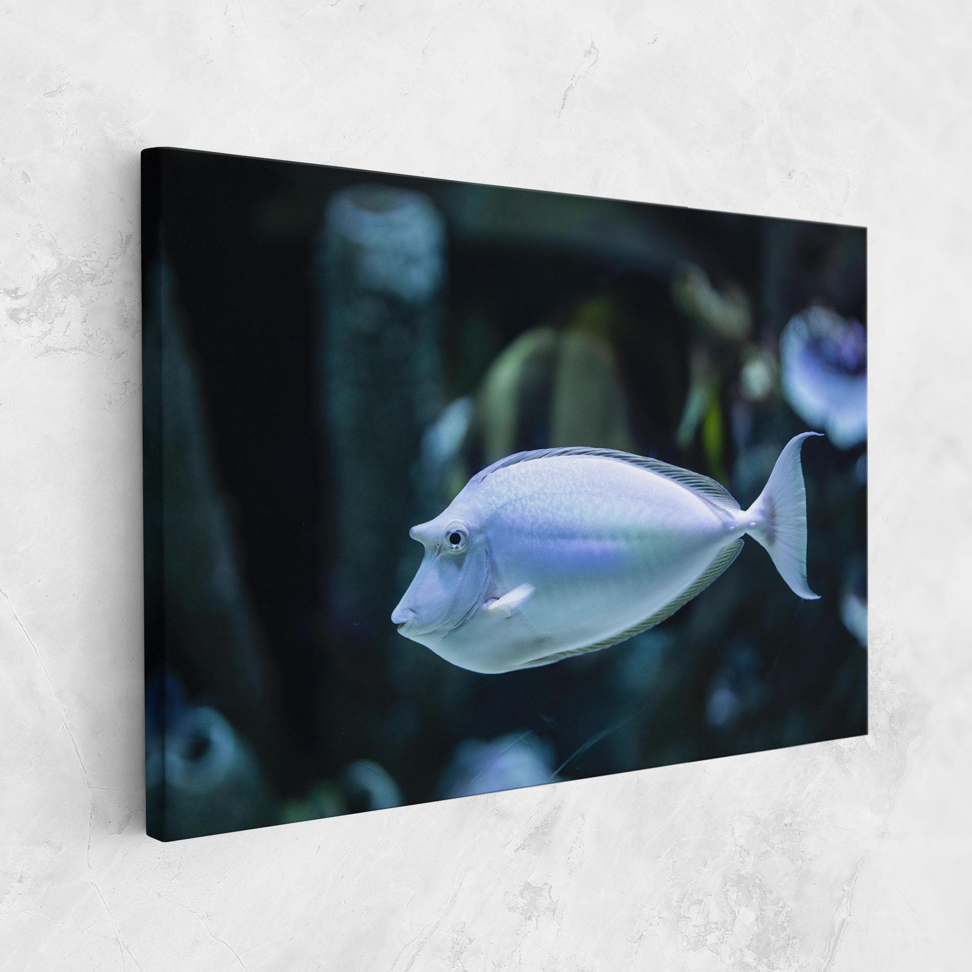 Leinwandbild Funny Face Fish mockup 1