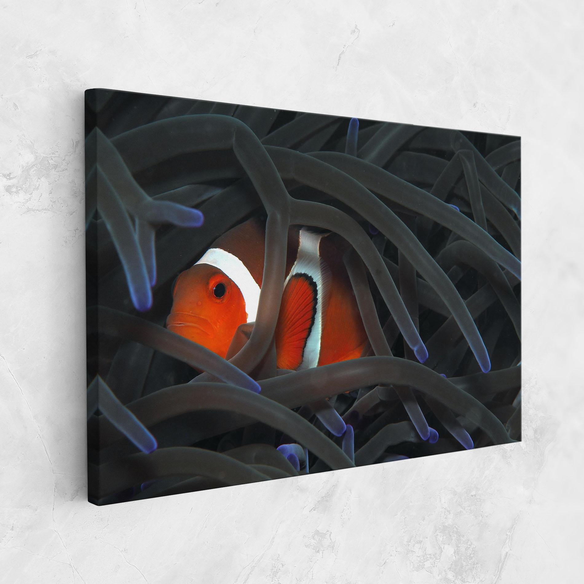 Leinwandbild Nemo Hiding mockup 1