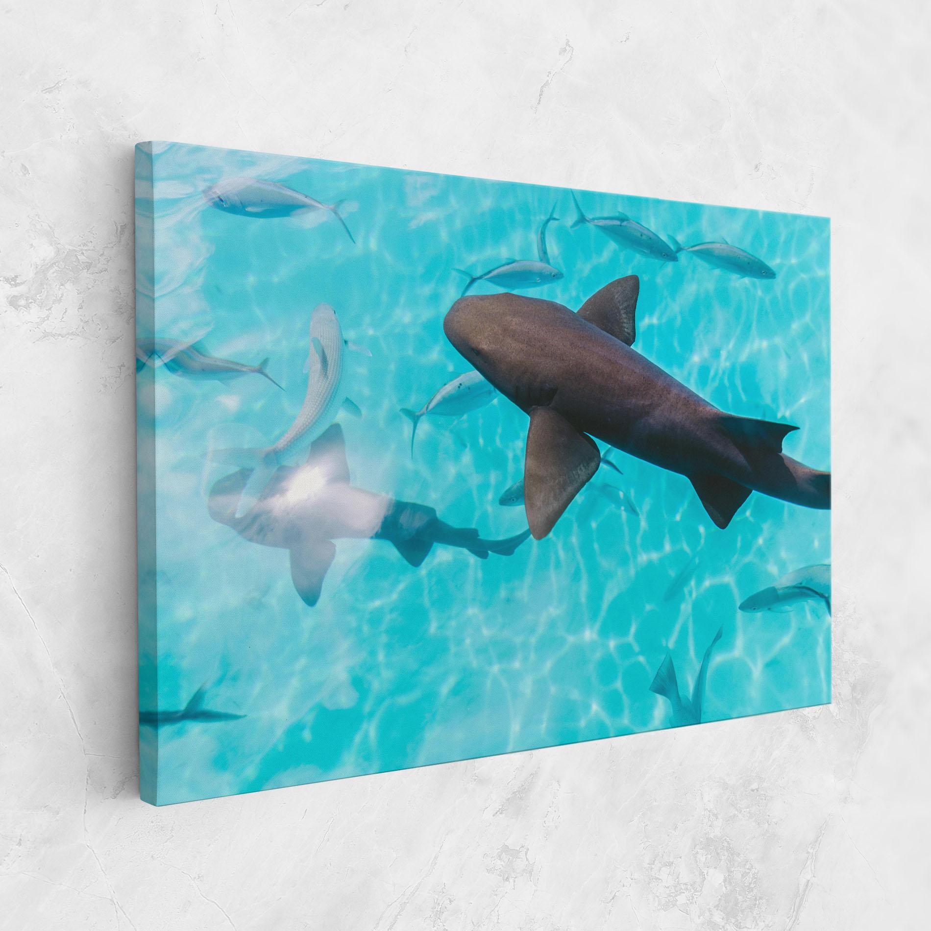Leinwandbild Pretty Shark mockup 1