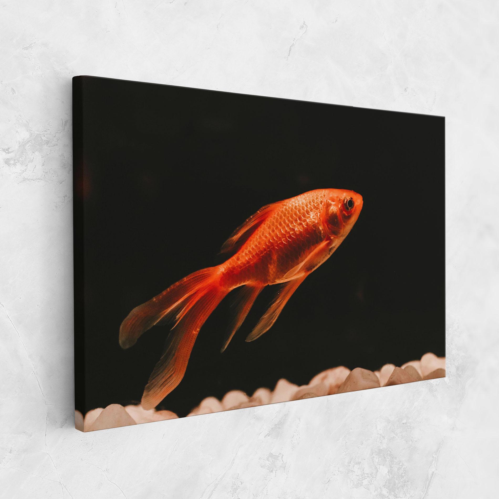 Leinwandbild Small Orange Fish mockup 1
