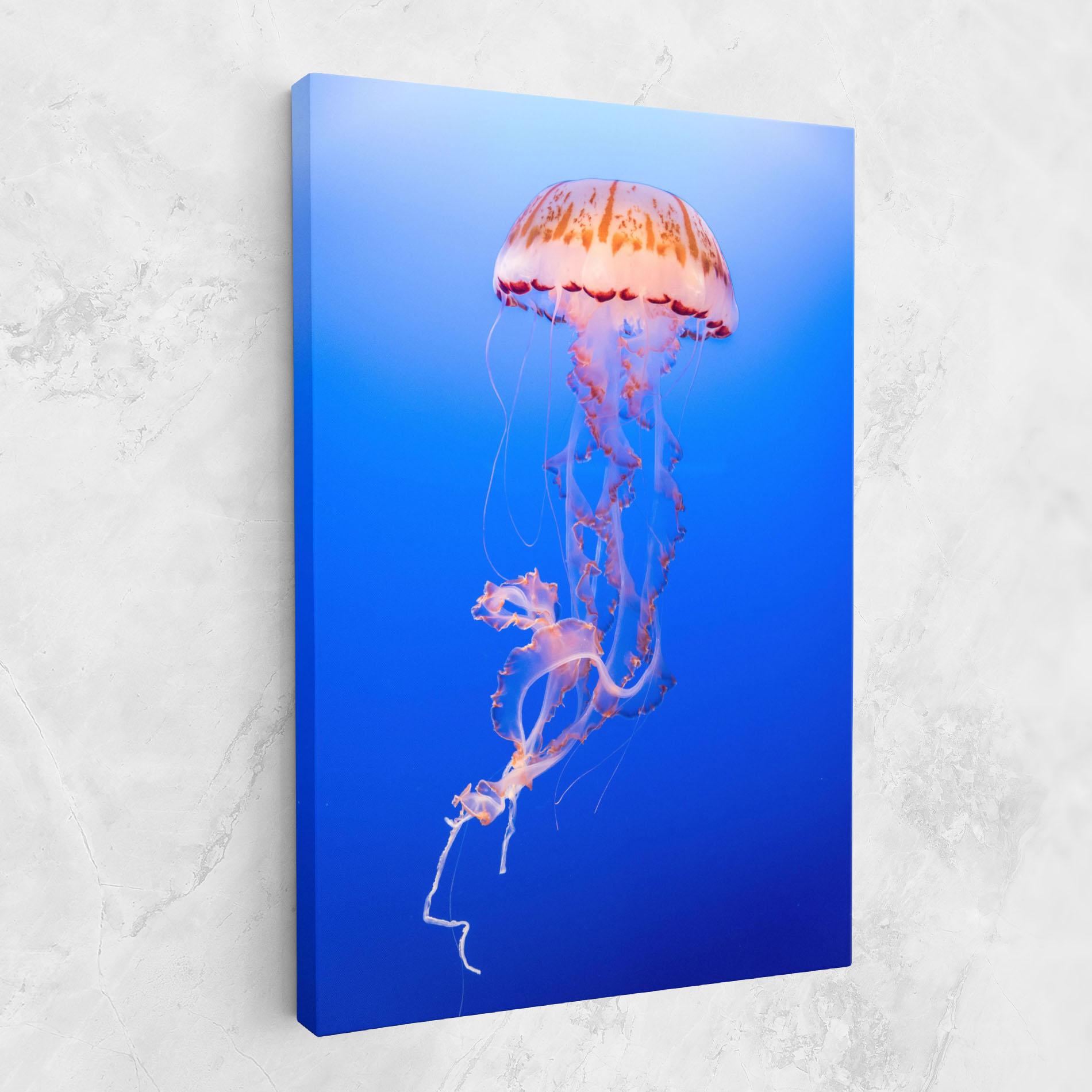 Leinwandbild Pretty White Jellyfish mockup 1