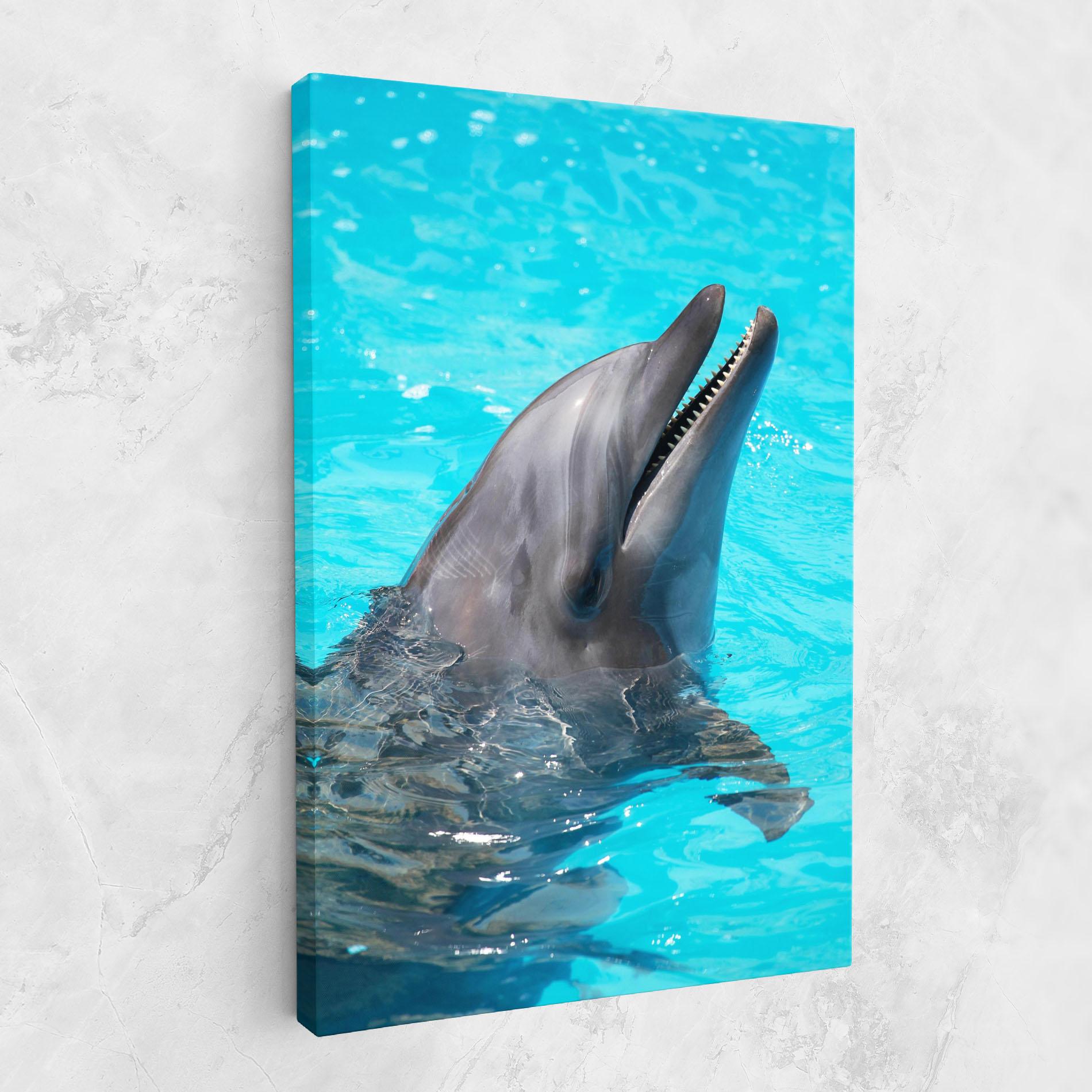 Leinwandbild Trained Dolphin mockup 1