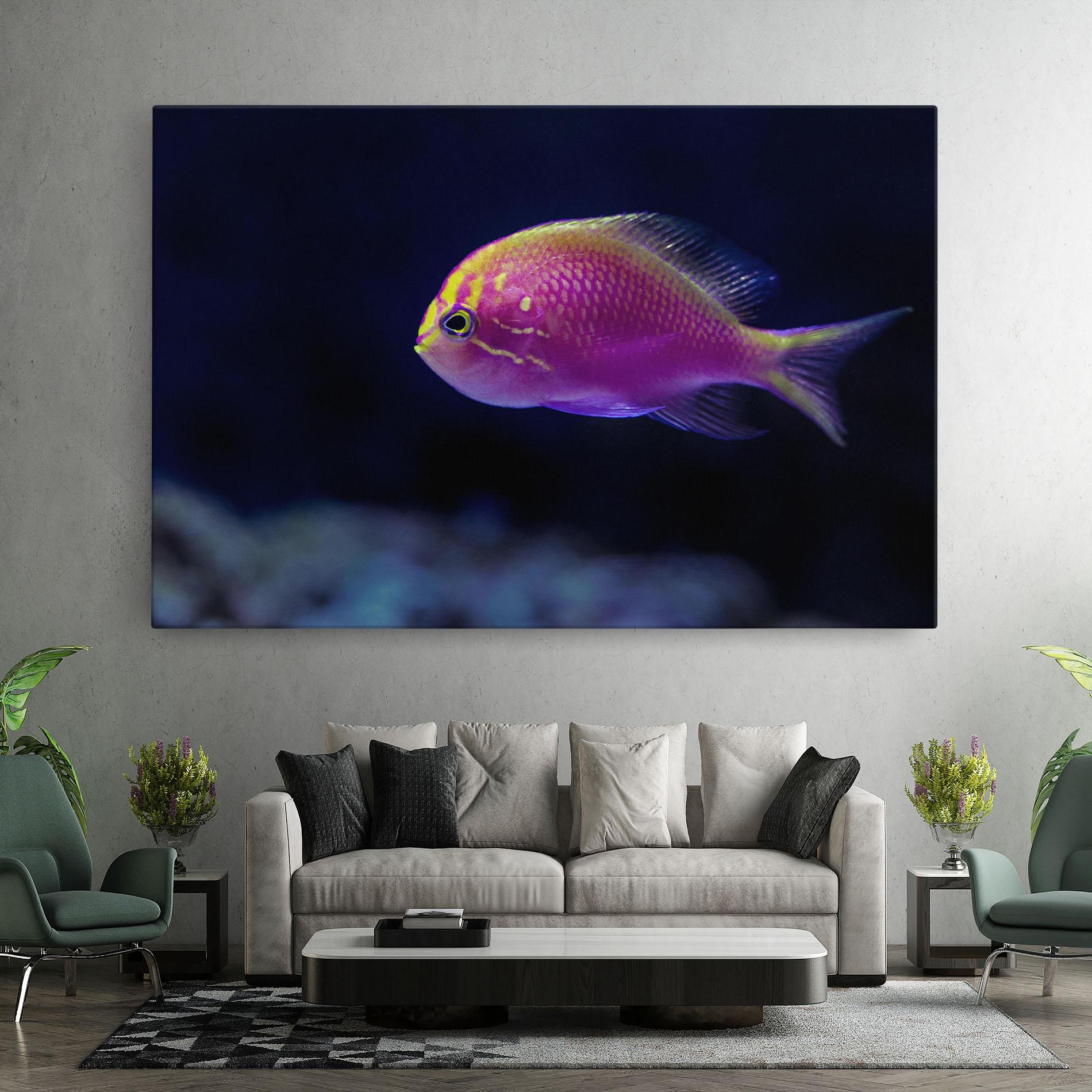 Leinwandbild Angry Pink Fish mockup 7