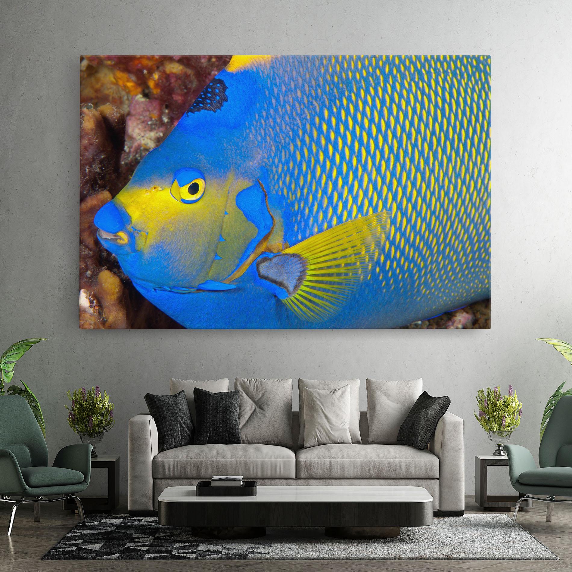 Leinwandbild Blue Yellow Fish mockup 7