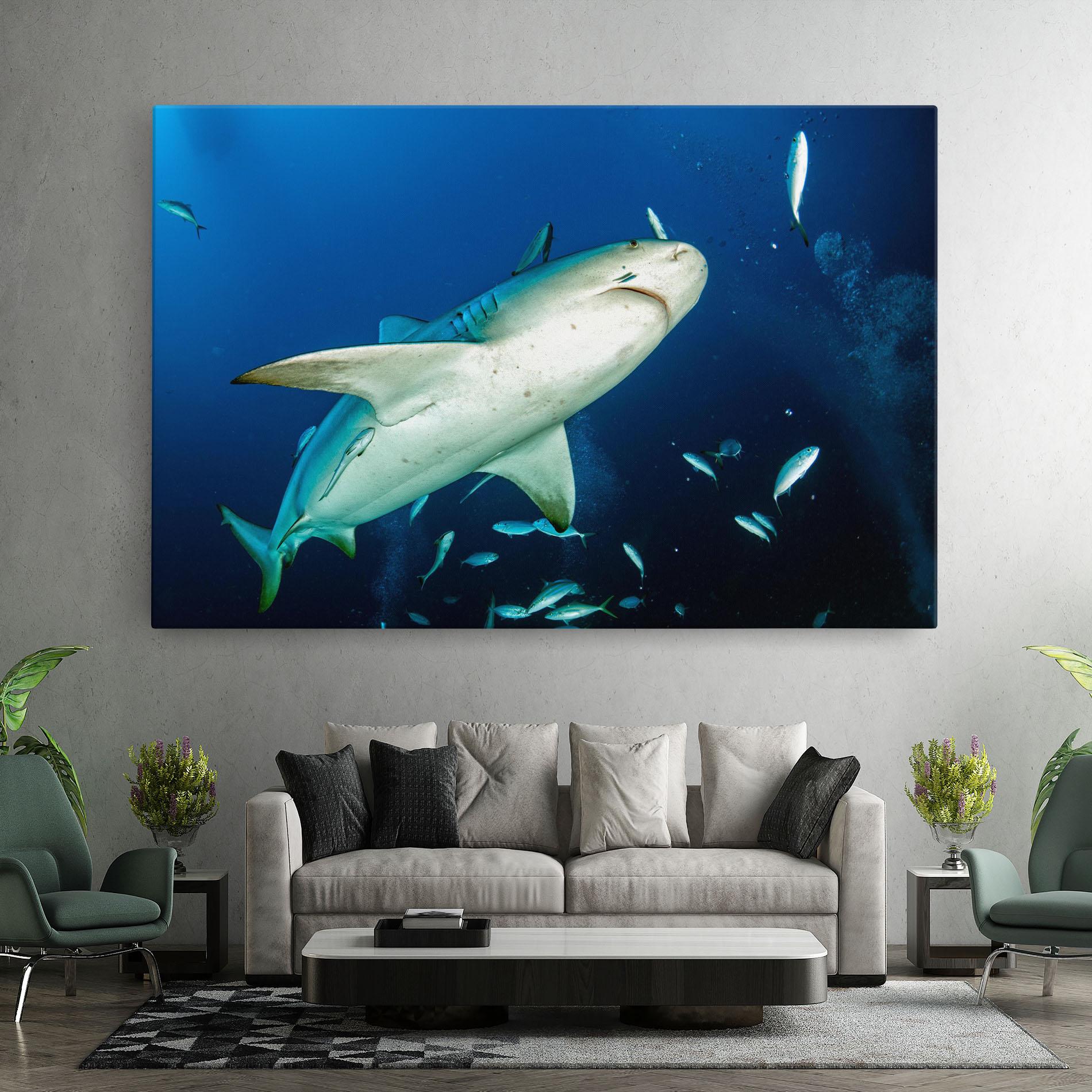 Leinwandbild Bull Shark mockup 7