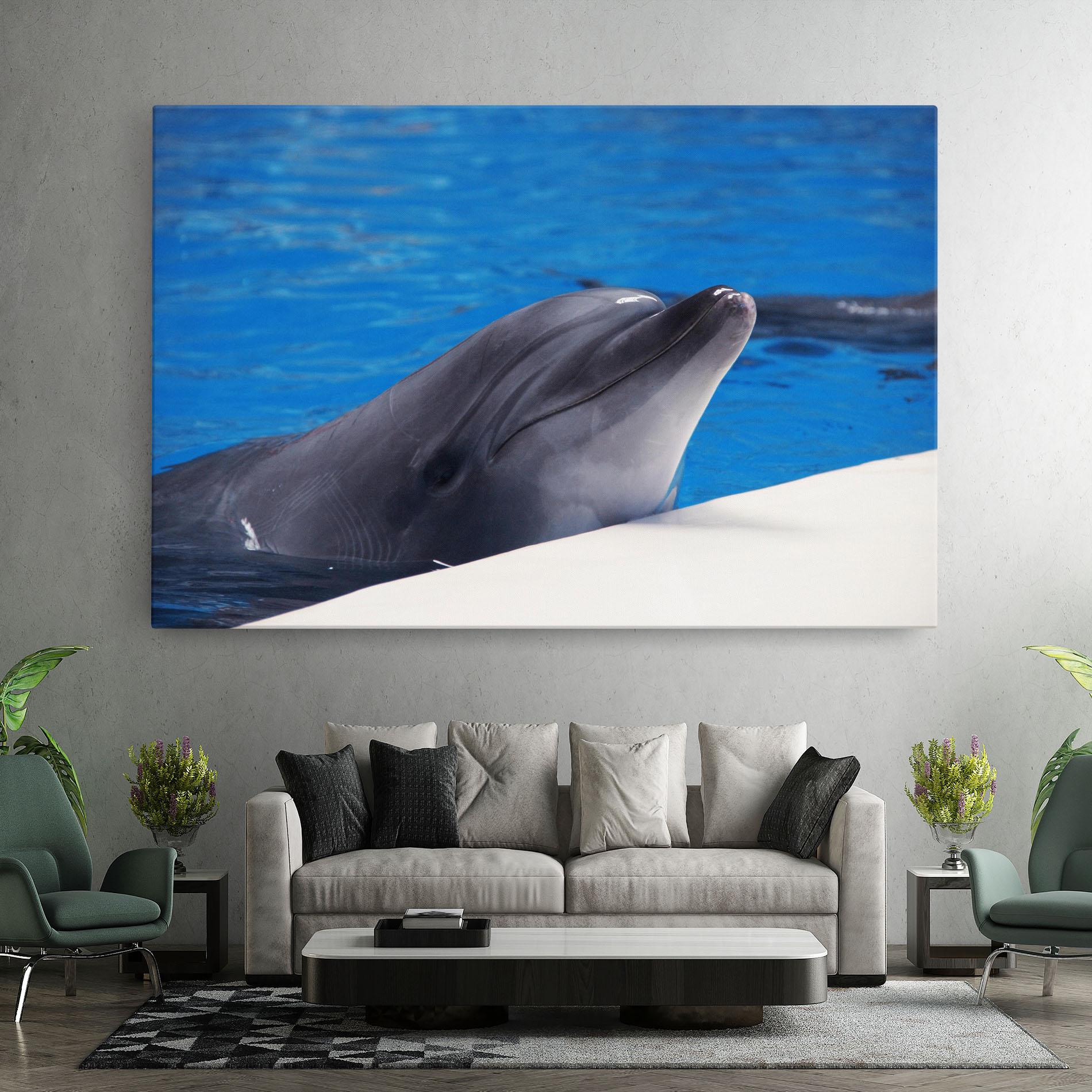 Leinwandbild Cute Dolphin mockup 7
