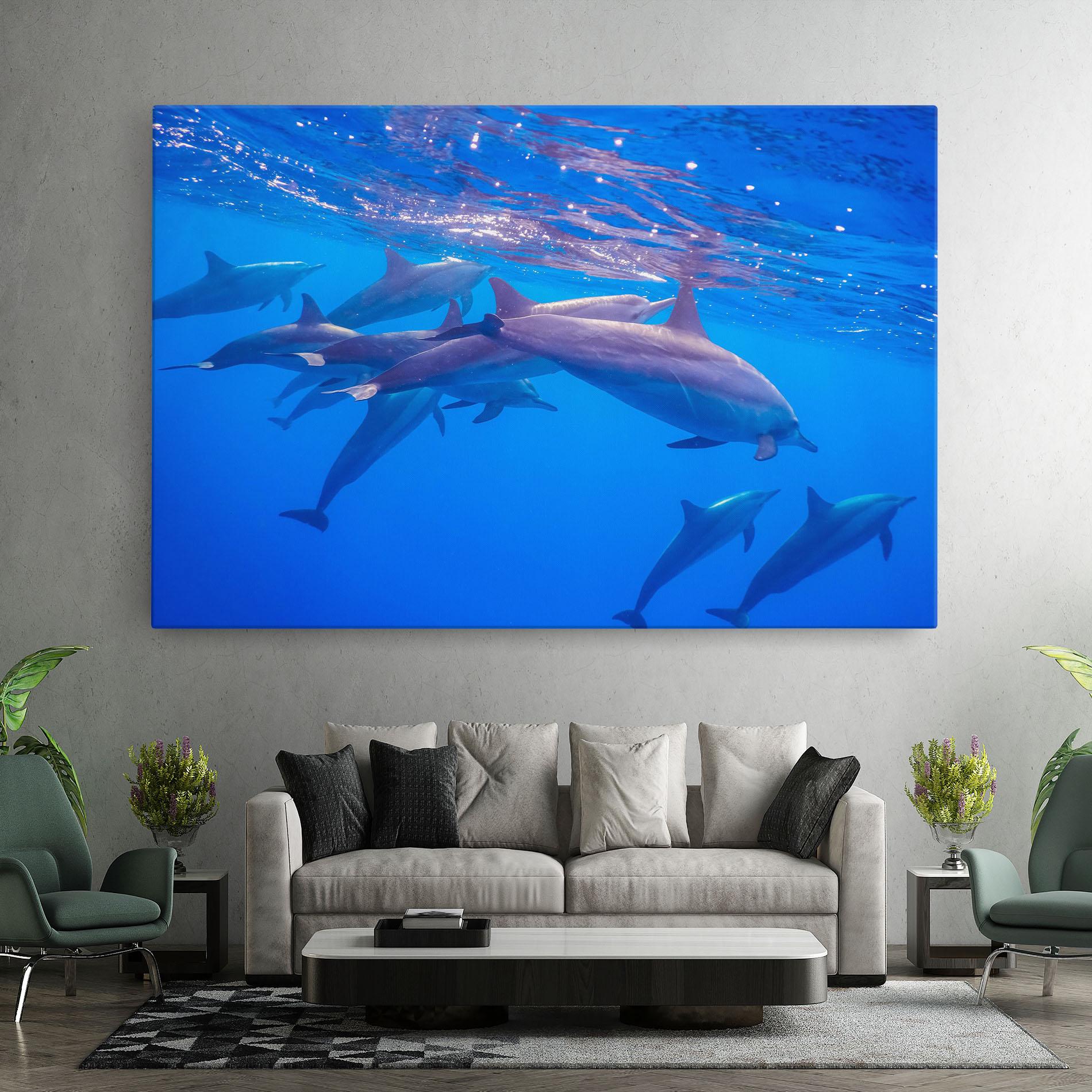 Leinwandbild Dolphin Family mockup 7