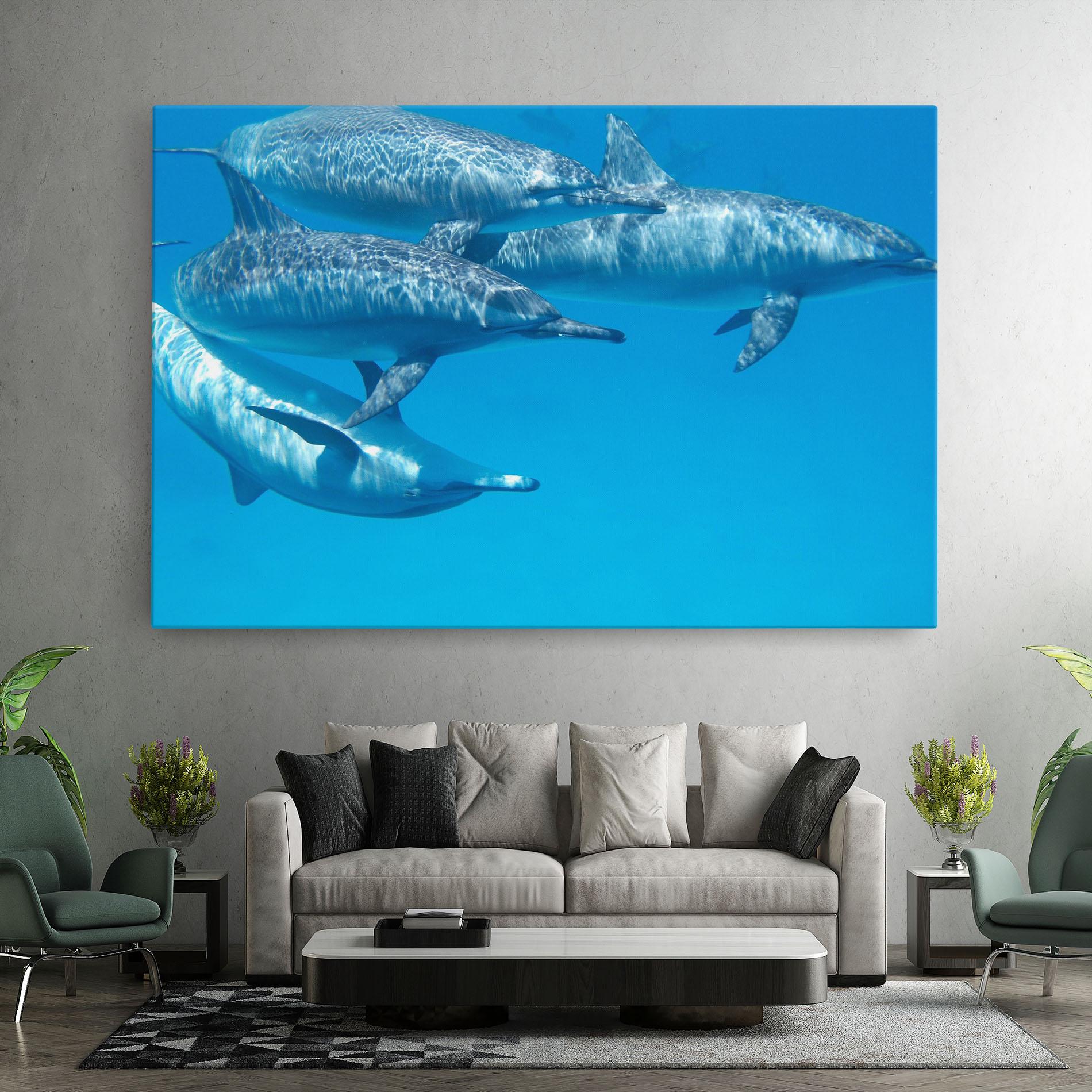 Leinwandbild Family Of Dolphins mockup 7