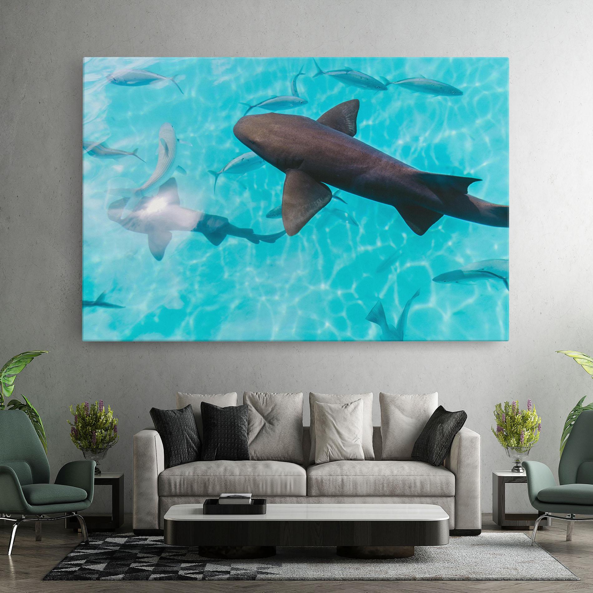 Leinwandbild Pretty Shark mockup 7