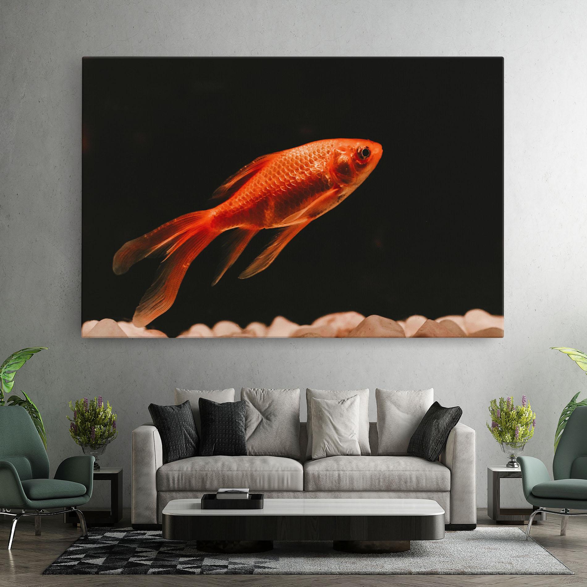 Leinwandbild Small Orange Fish mockup 7