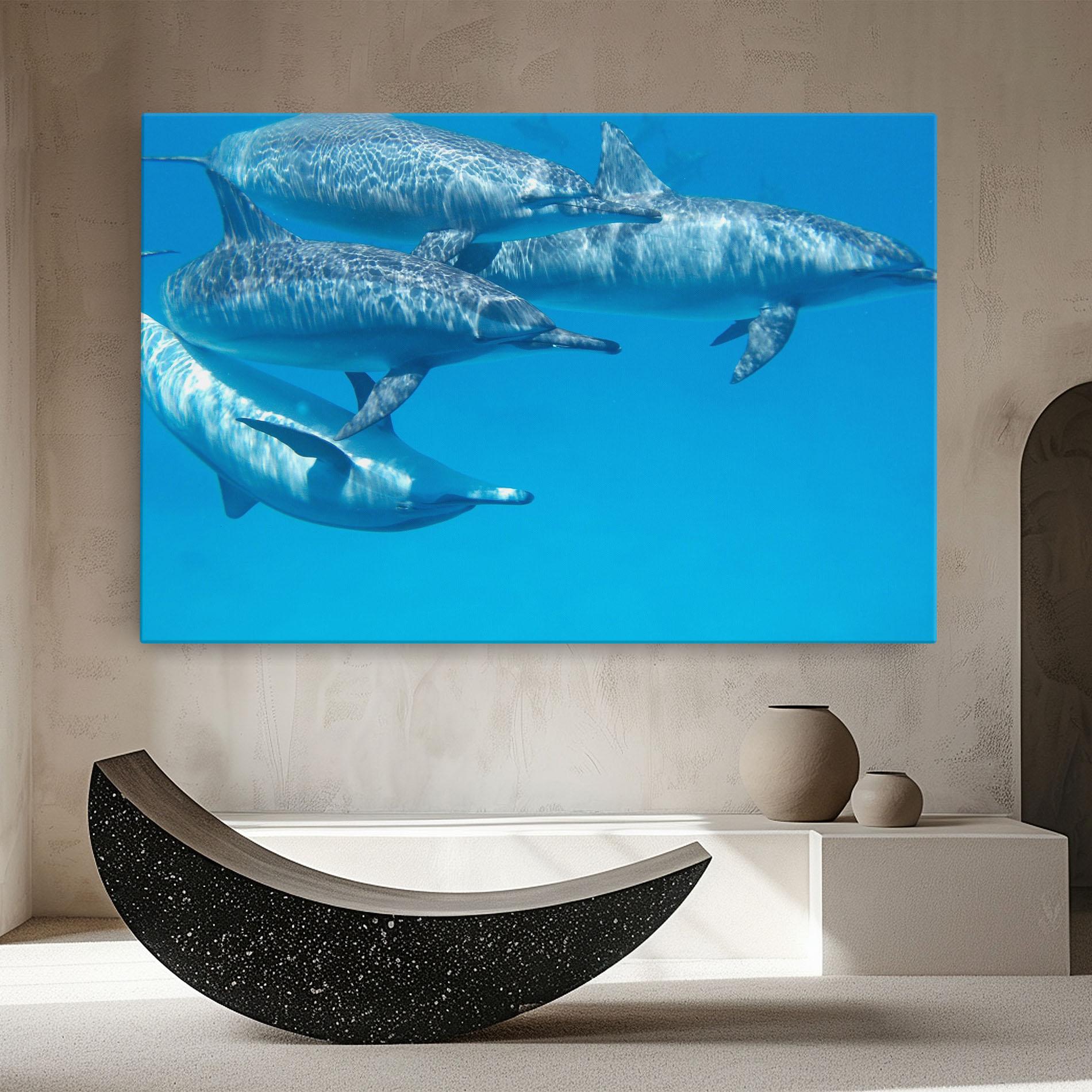 Leinwandbild Family Of Dolphins mockup 8