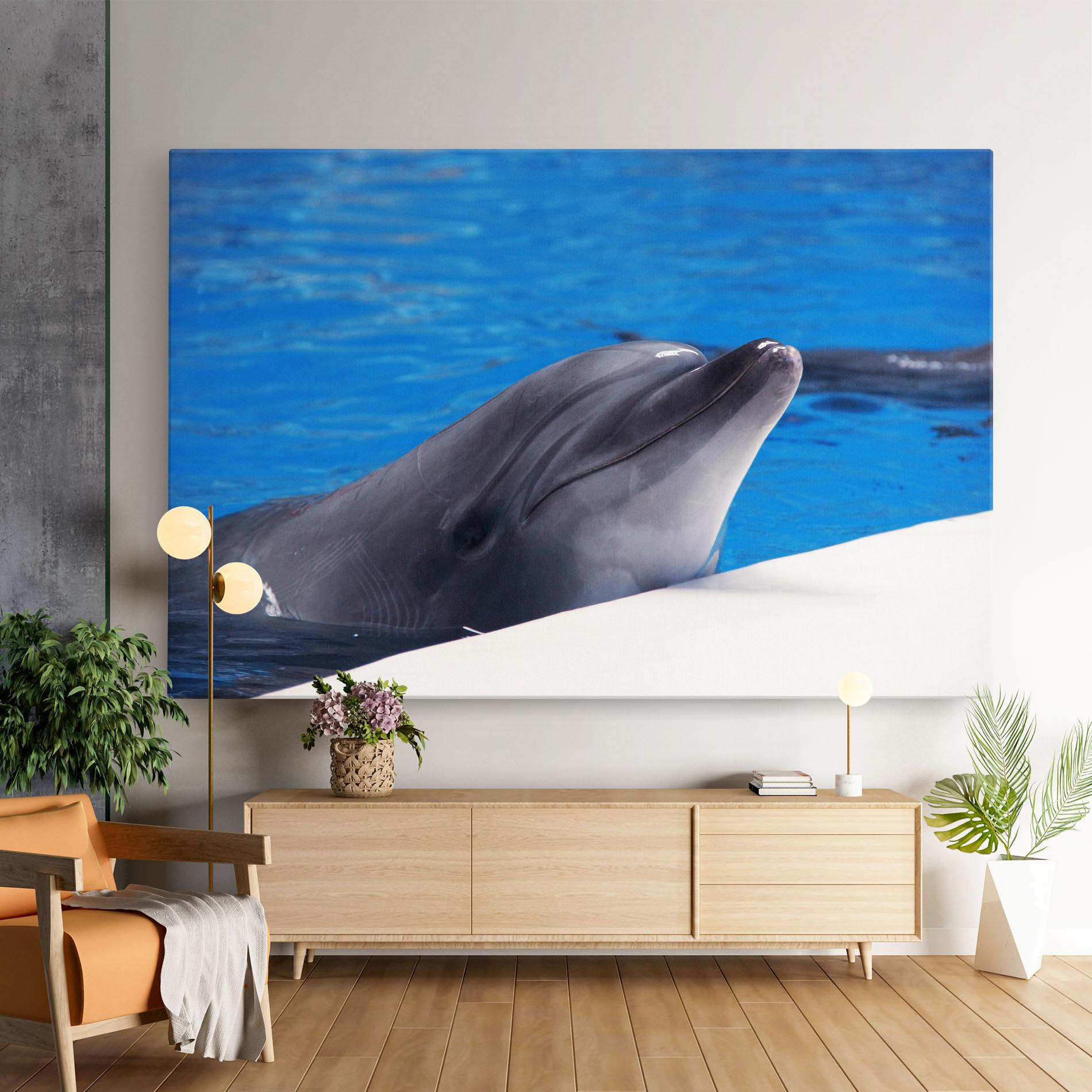 Leinwandbild Cute Dolphin mockup 9