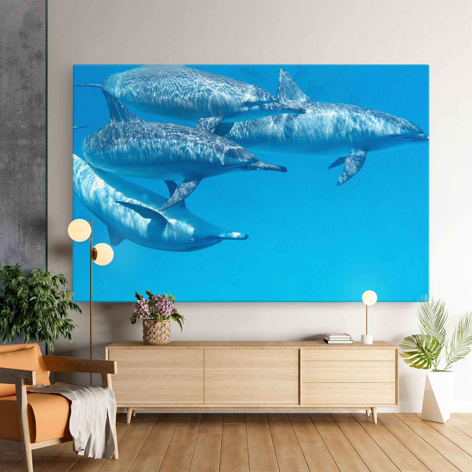 Leinwandbild Family Of Dolphins mockup 9