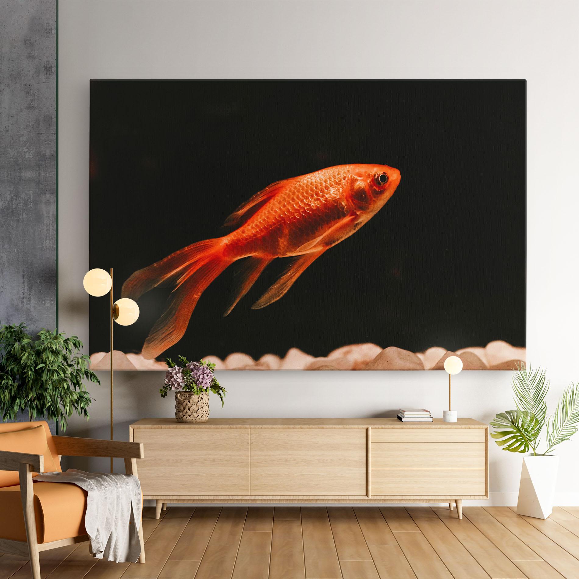 Leinwandbild Small Orange Fish mockup 9