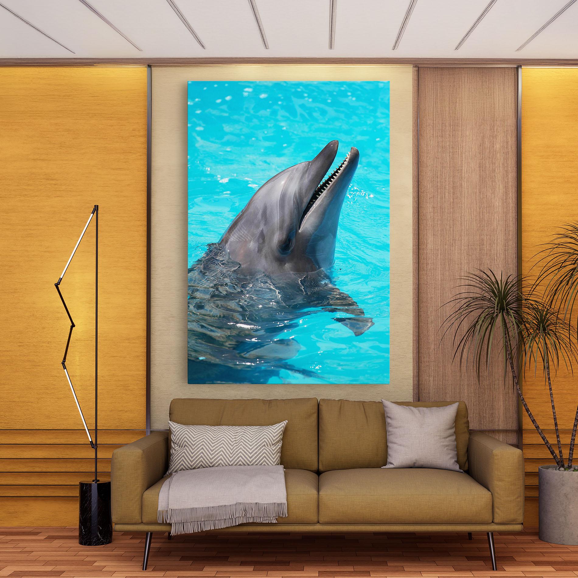 Leinwandbild Trained Dolphin mockup 9