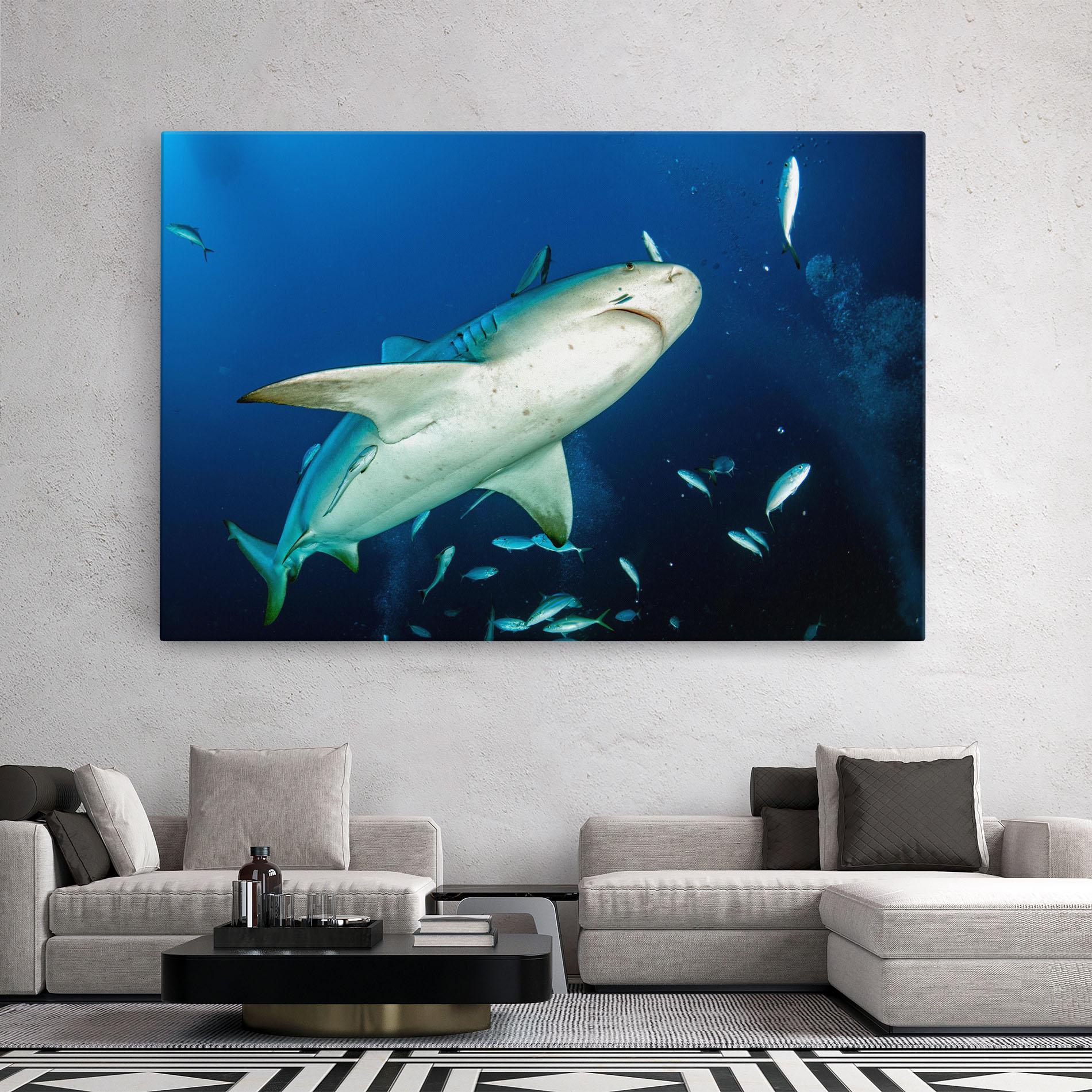 Leinwandbild Bull Shark mockup 2