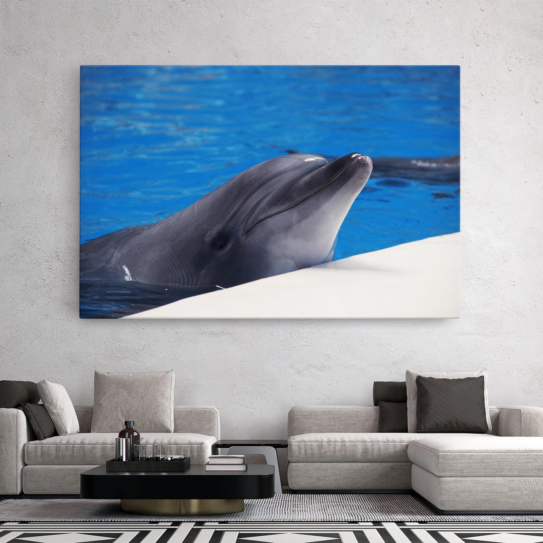 Leinwandbild Cute Dolphin mockup 2