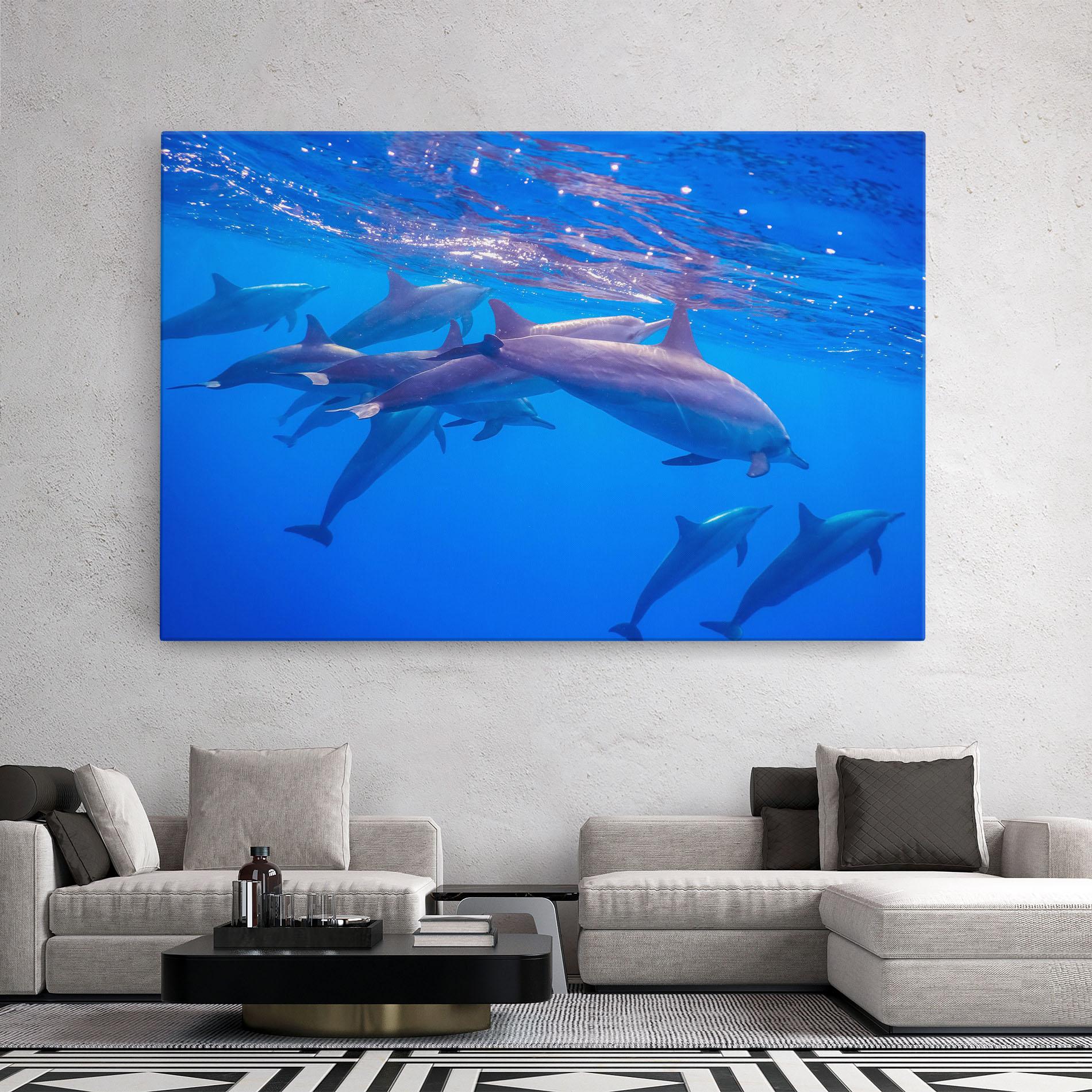 Leinwandbild Dolphin Family mockup 2