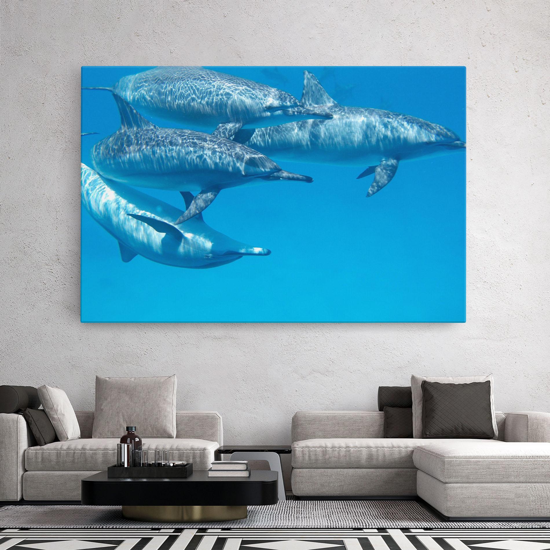 Leinwandbild Family Of Dolphins mockup 2