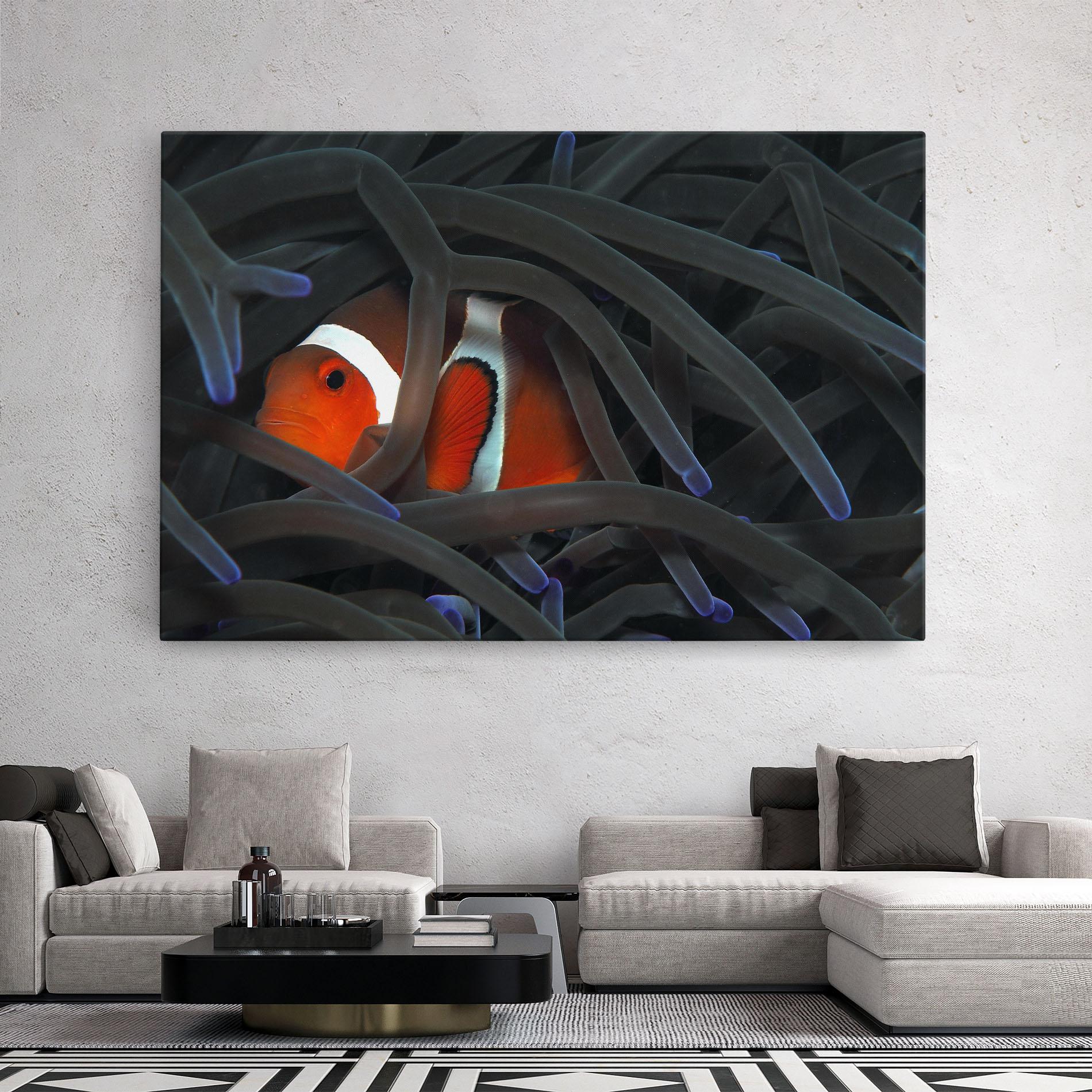 Leinwandbild Nemo Hiding mockup 2