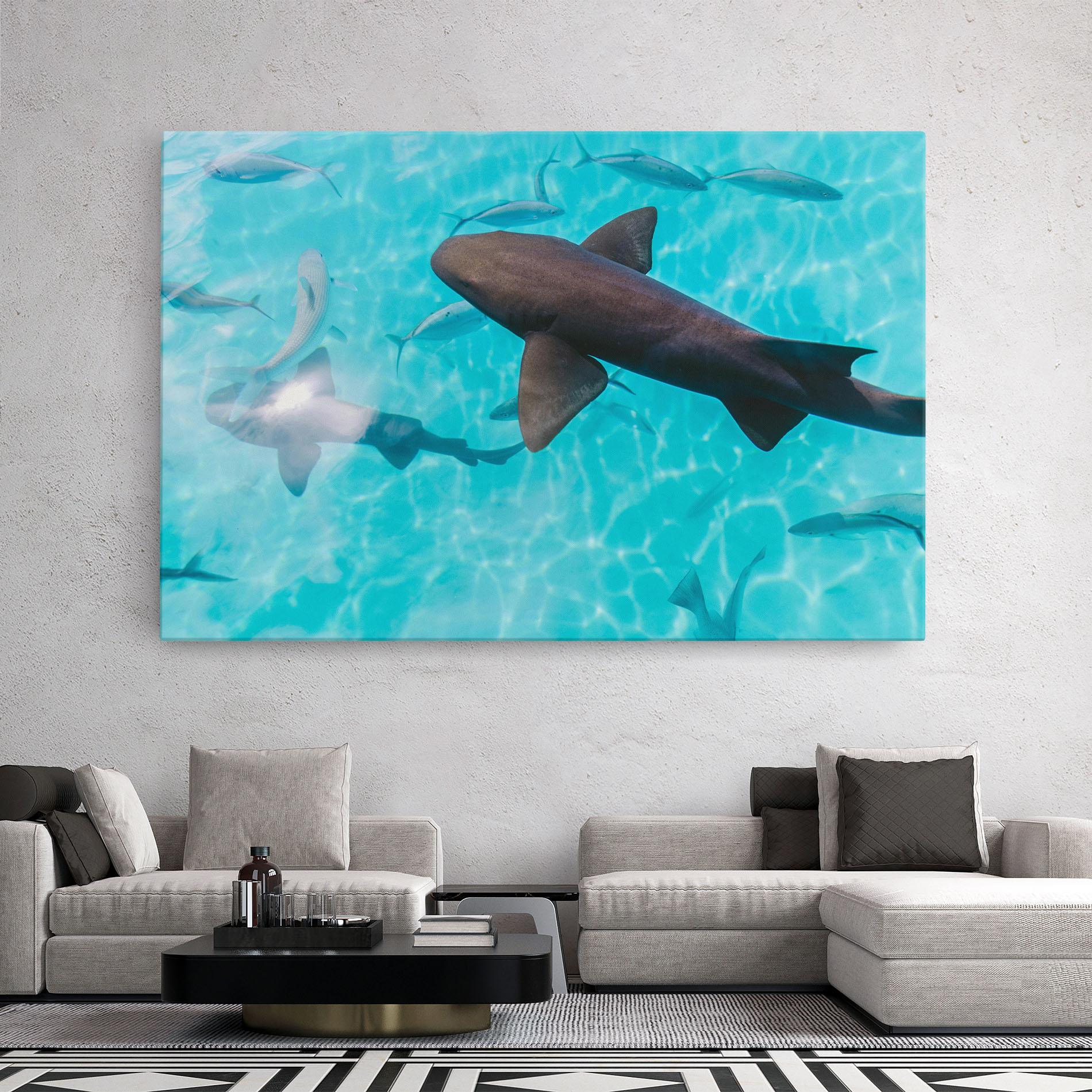 Leinwandbild Pretty Shark mockup 2