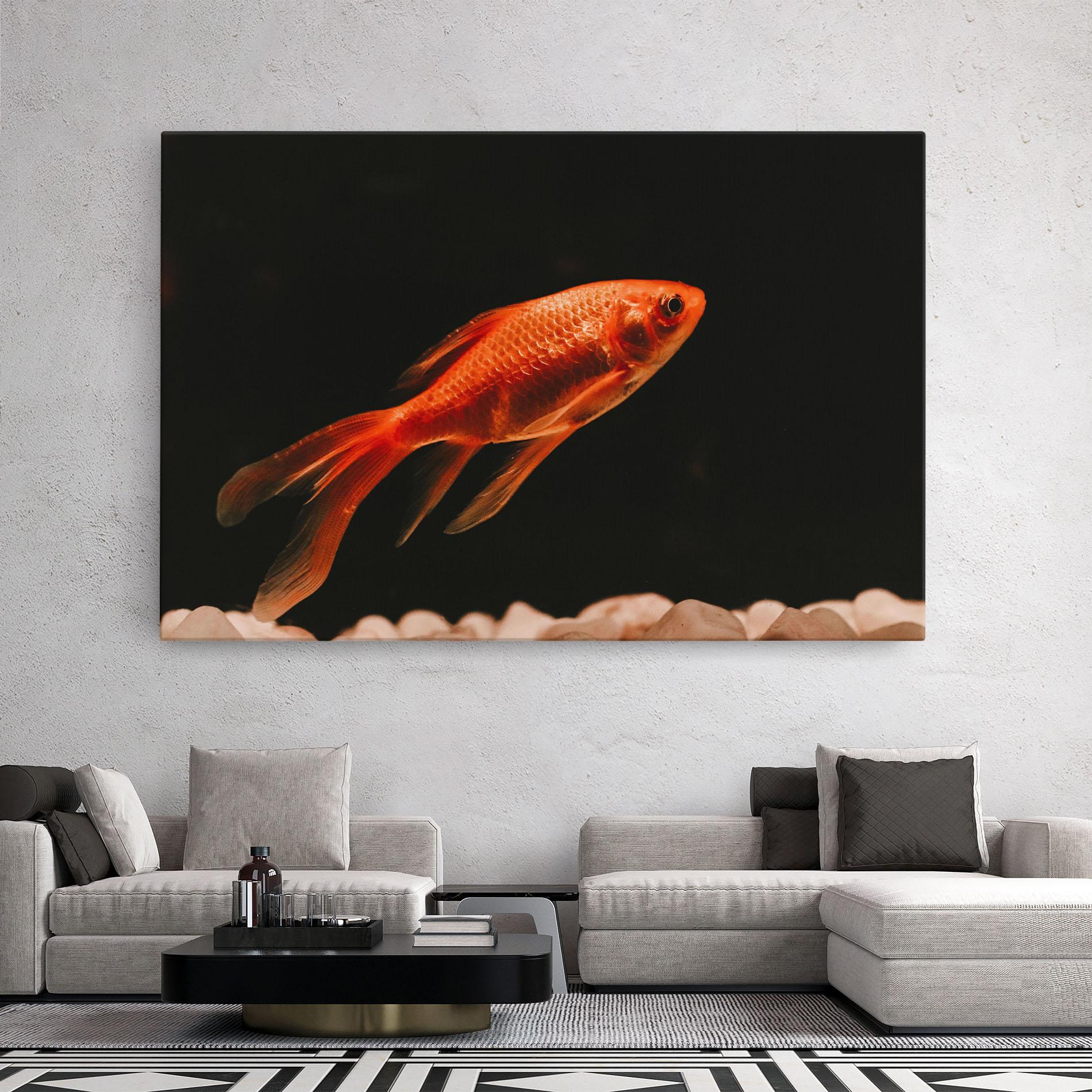 Leinwandbild Small Orange Fish mockup 2