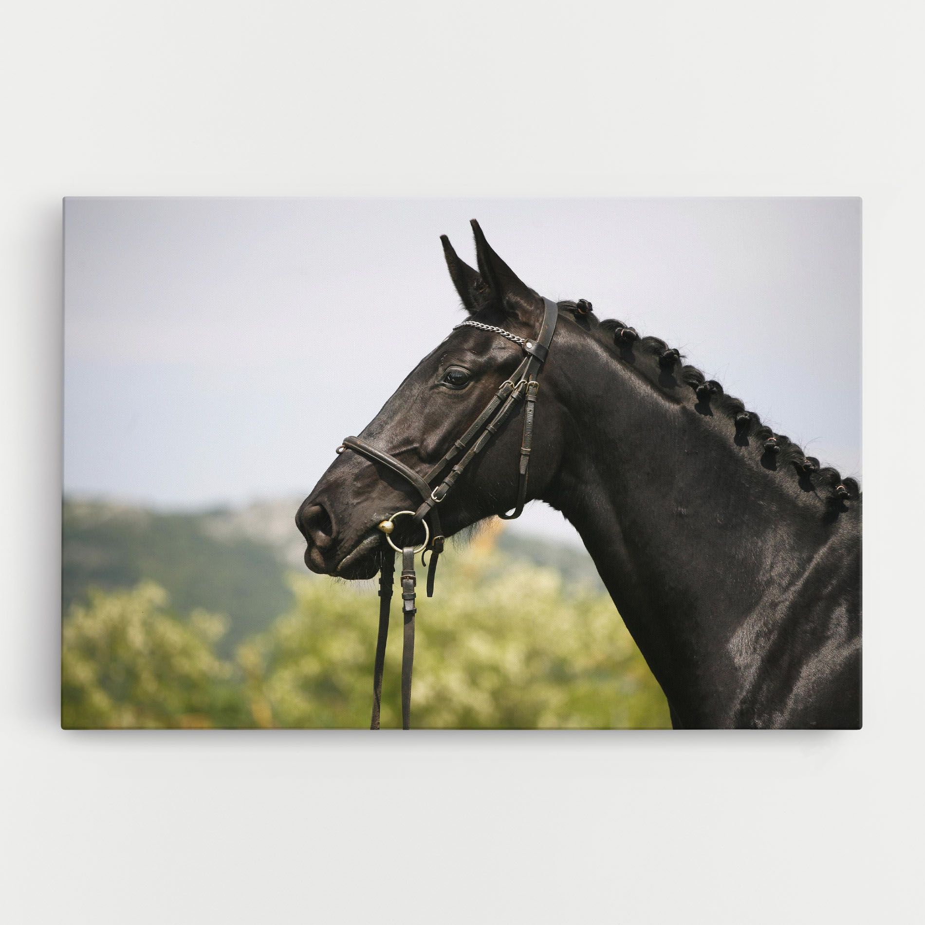 Big Ear Horse mockup 0