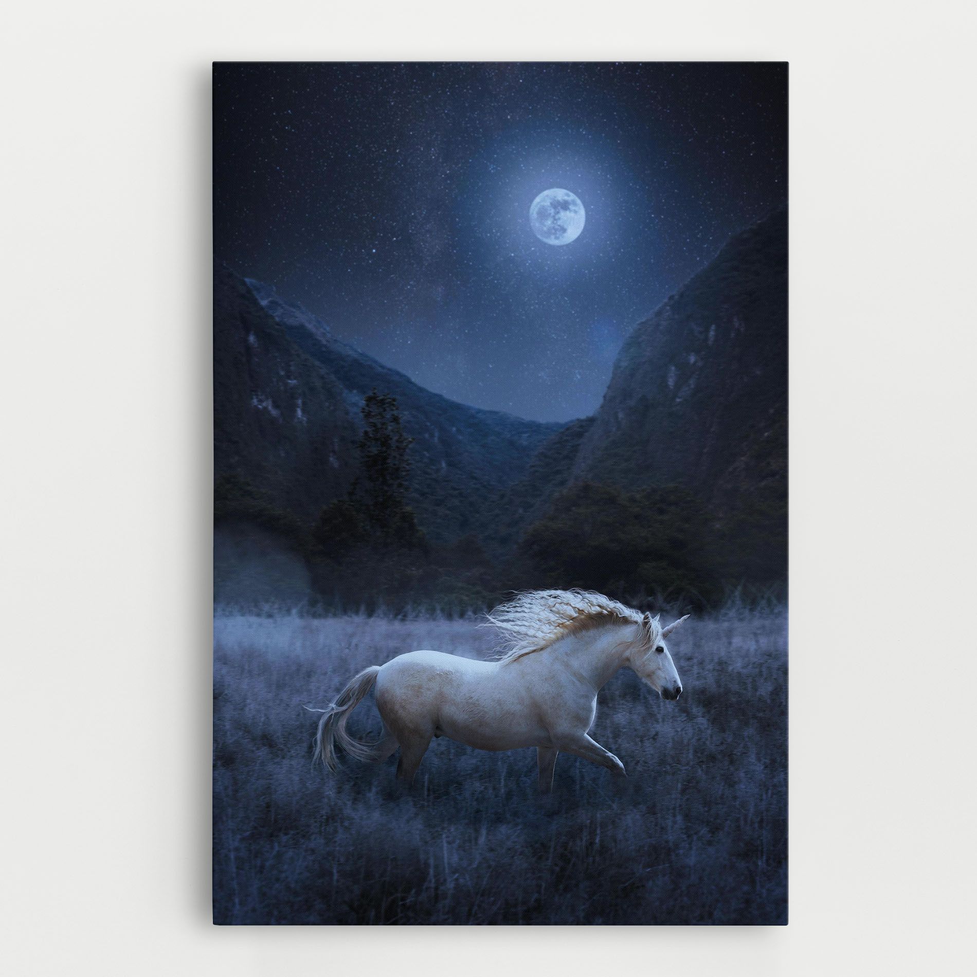 Blue Moon Unicorn mockup 0