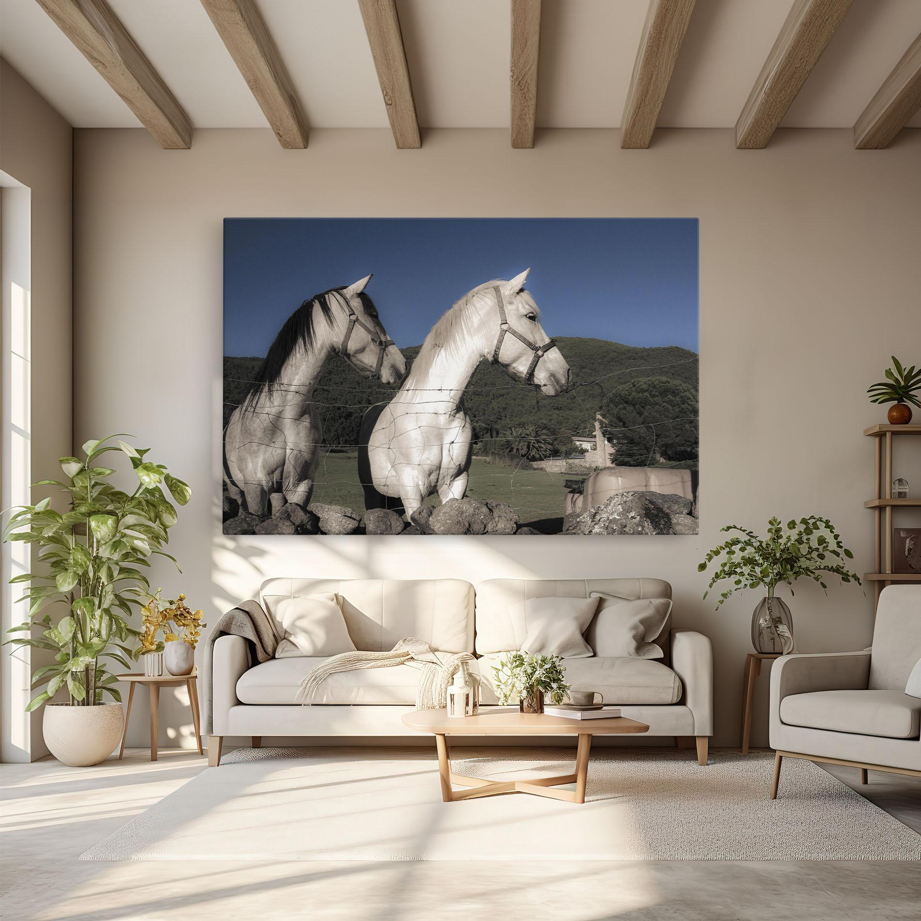 Leinwandbild White Grey Horse mockup 6