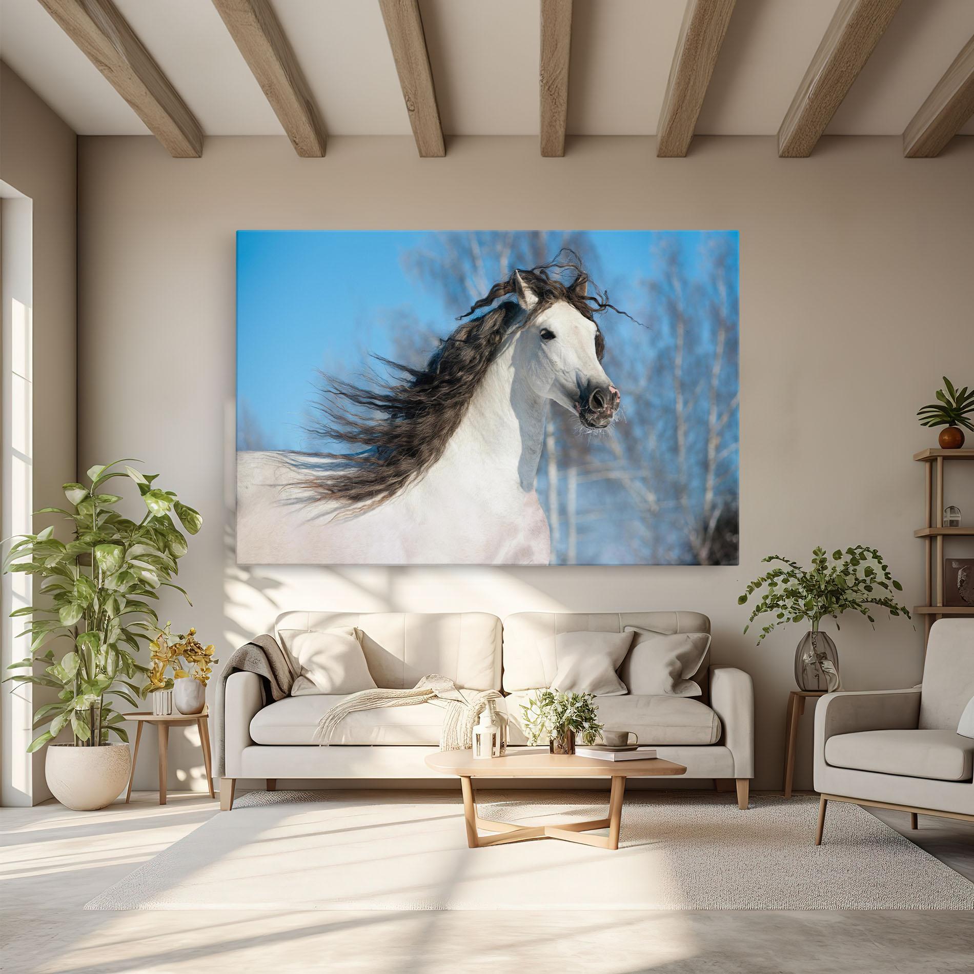 Leinwandbild Wild Black Hair Horse mockup 6