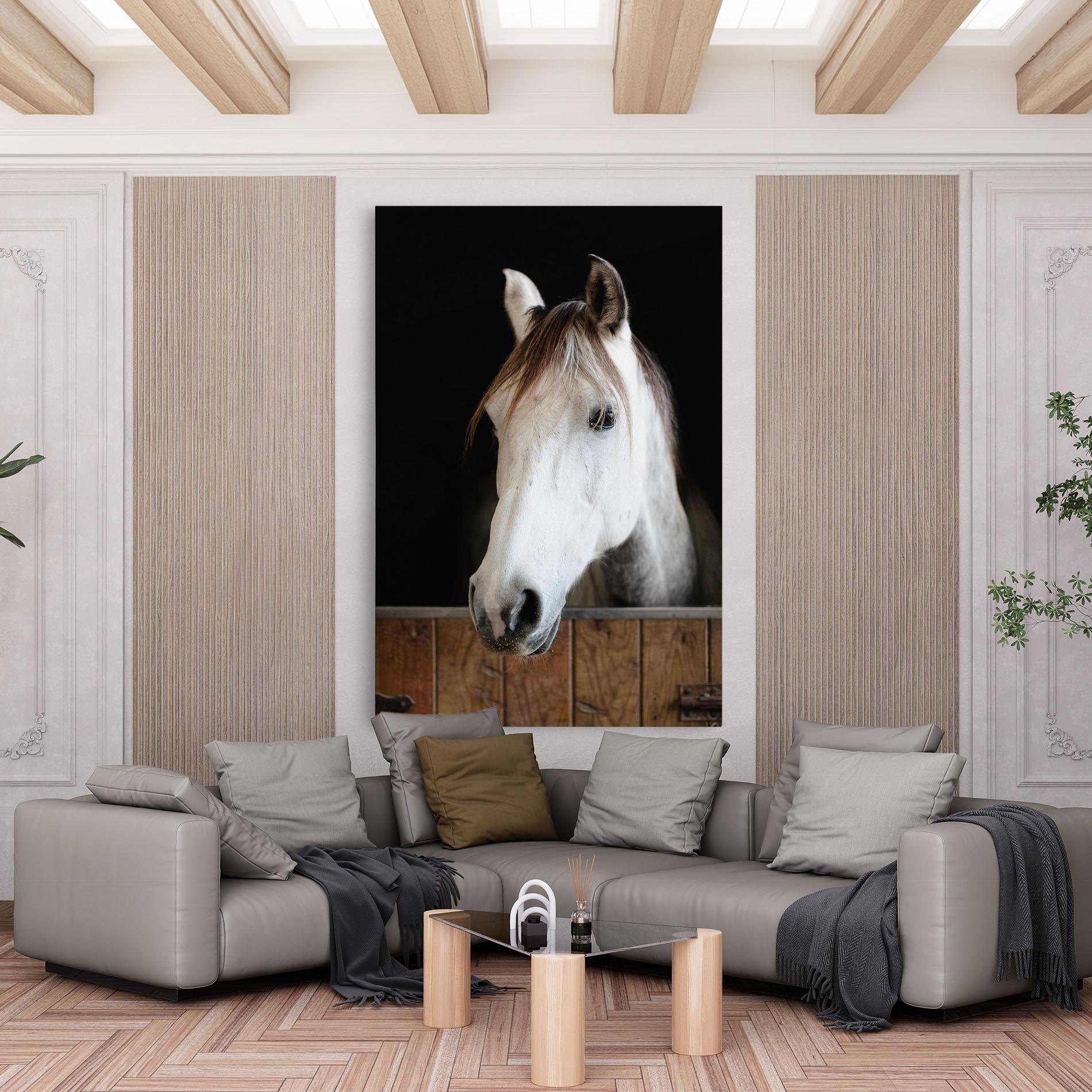 Leinwandbild Grey Horse Head mockup 6