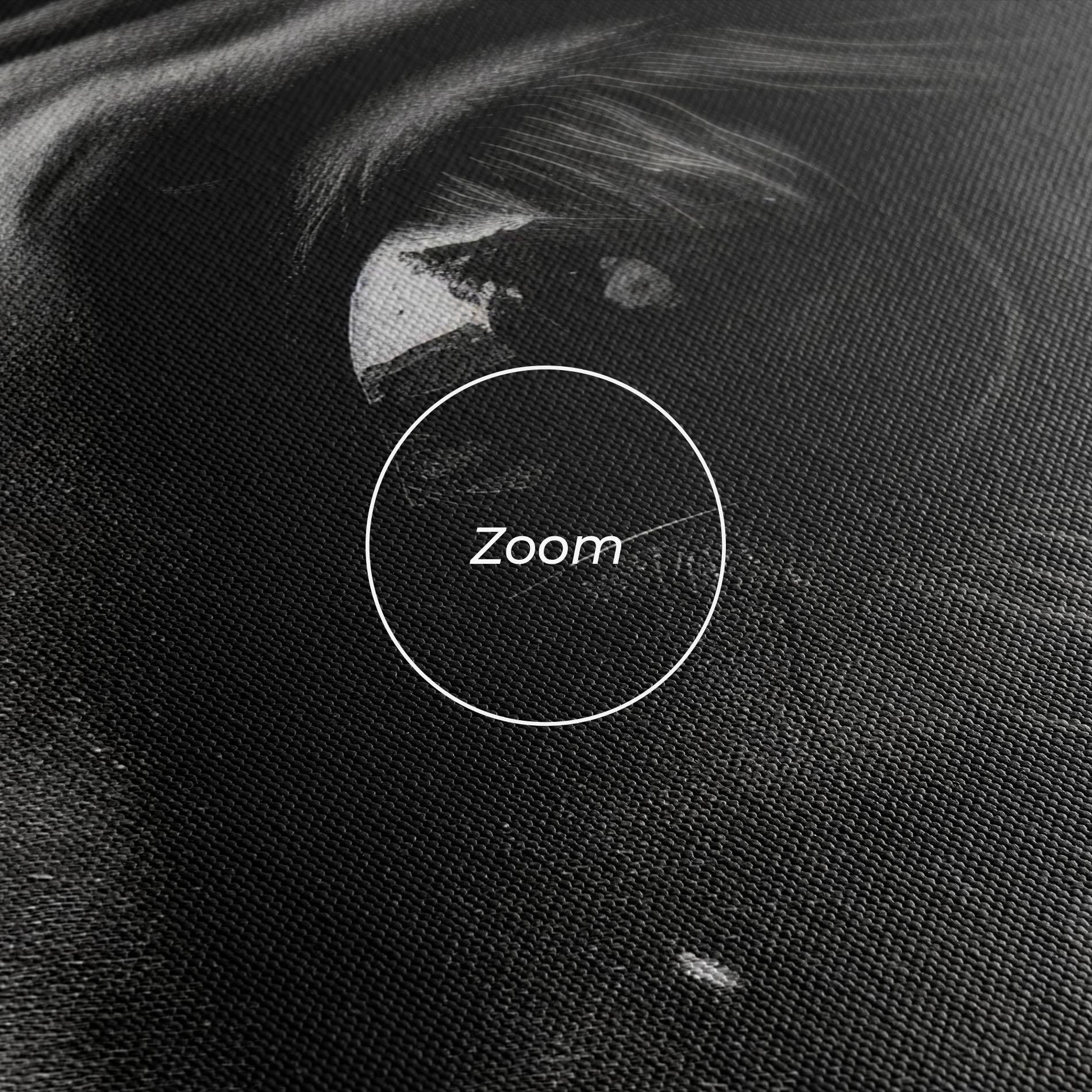 Leinwandbild Black Horse Eye mockup 3