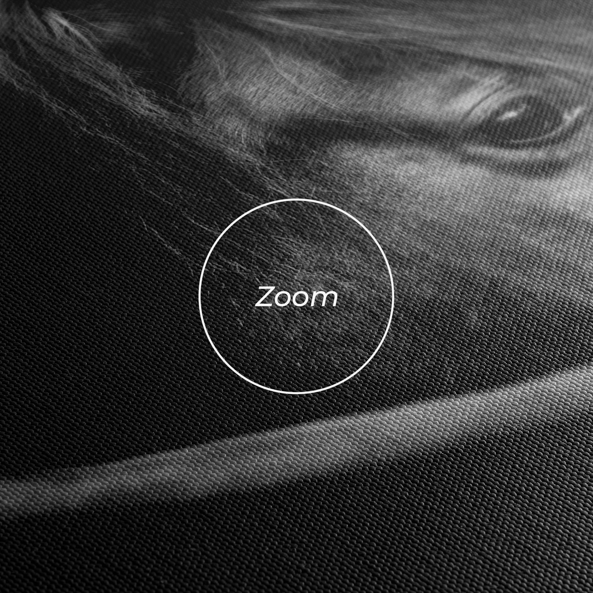 Leinwandbild Black Horse Looking mockup 3