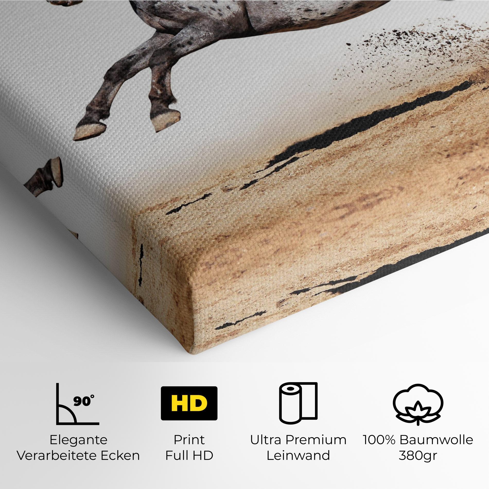 Leinwandbild Appaloosa Horse Running mockup 4