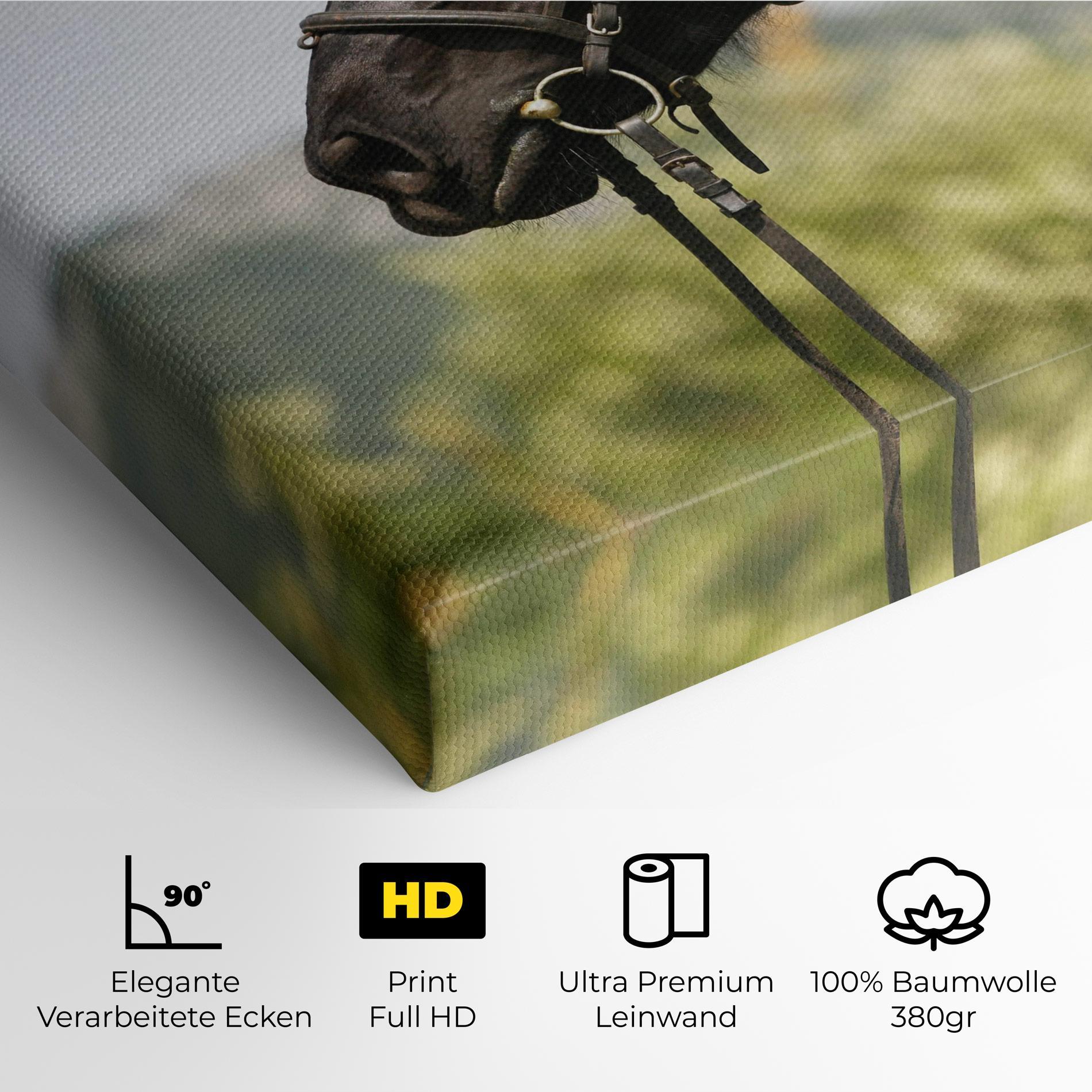 Leinwandbild Big Ear Horse mockup 4