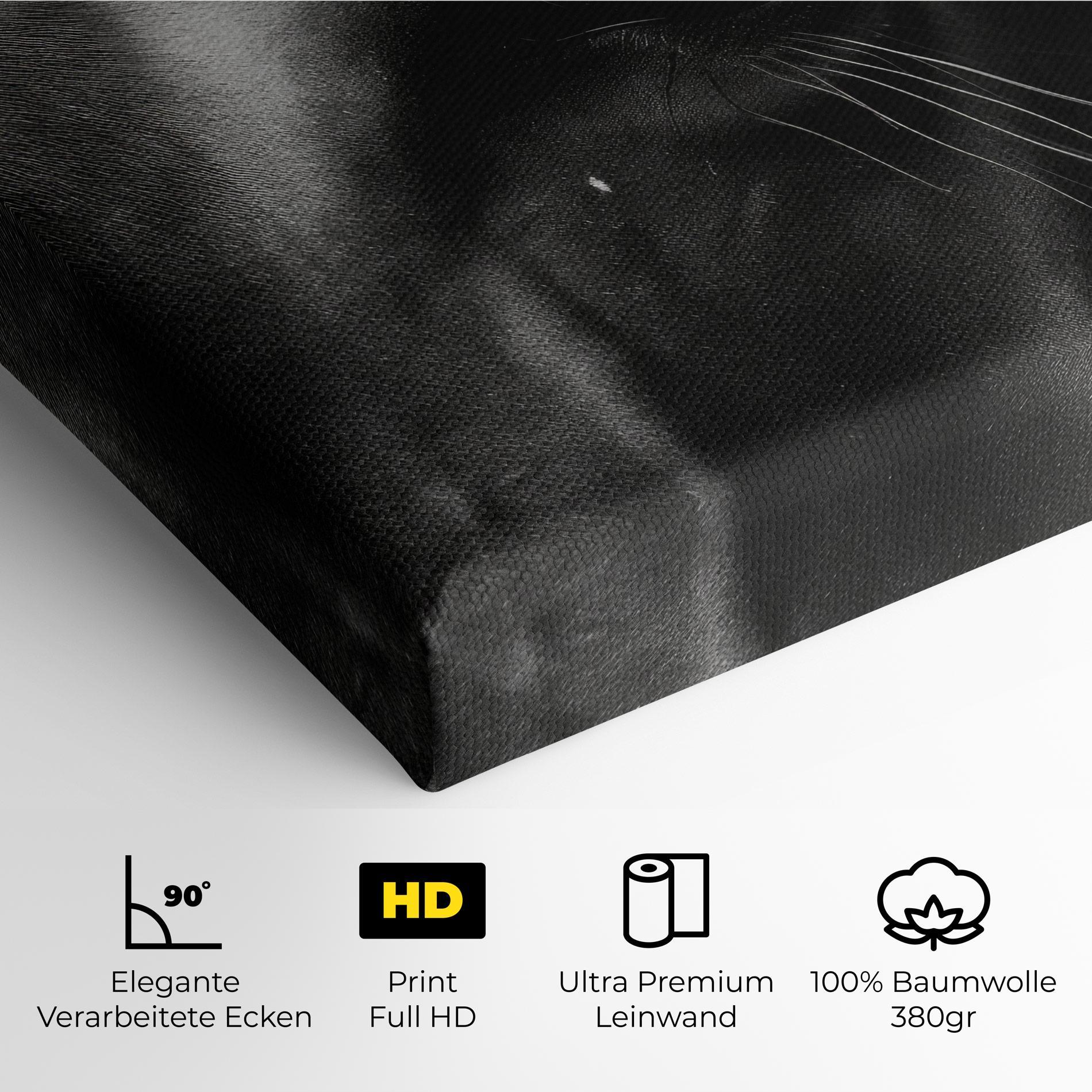 Leinwandbild Black Horse Eye mockup 4