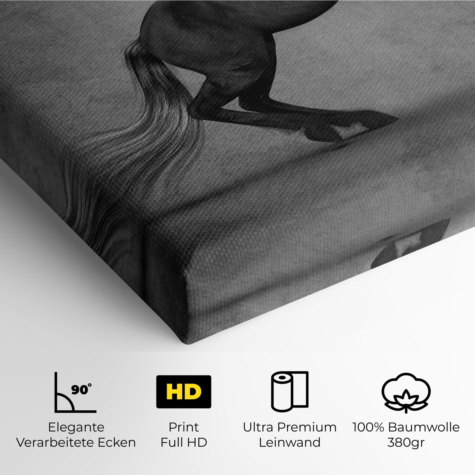 Leinwandbild Black Horse Jumping mockup 4