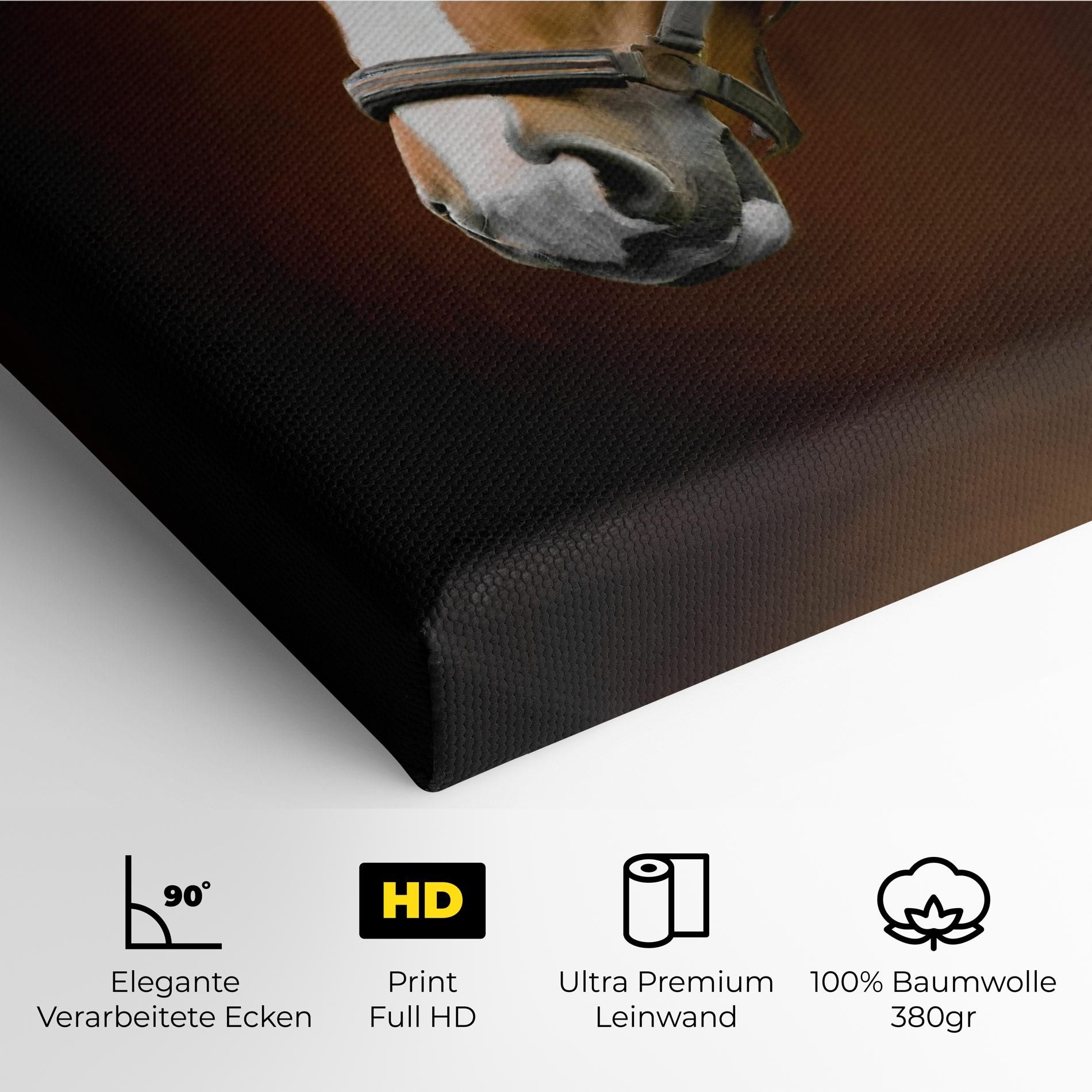 Digital Painted Horse mockup 4