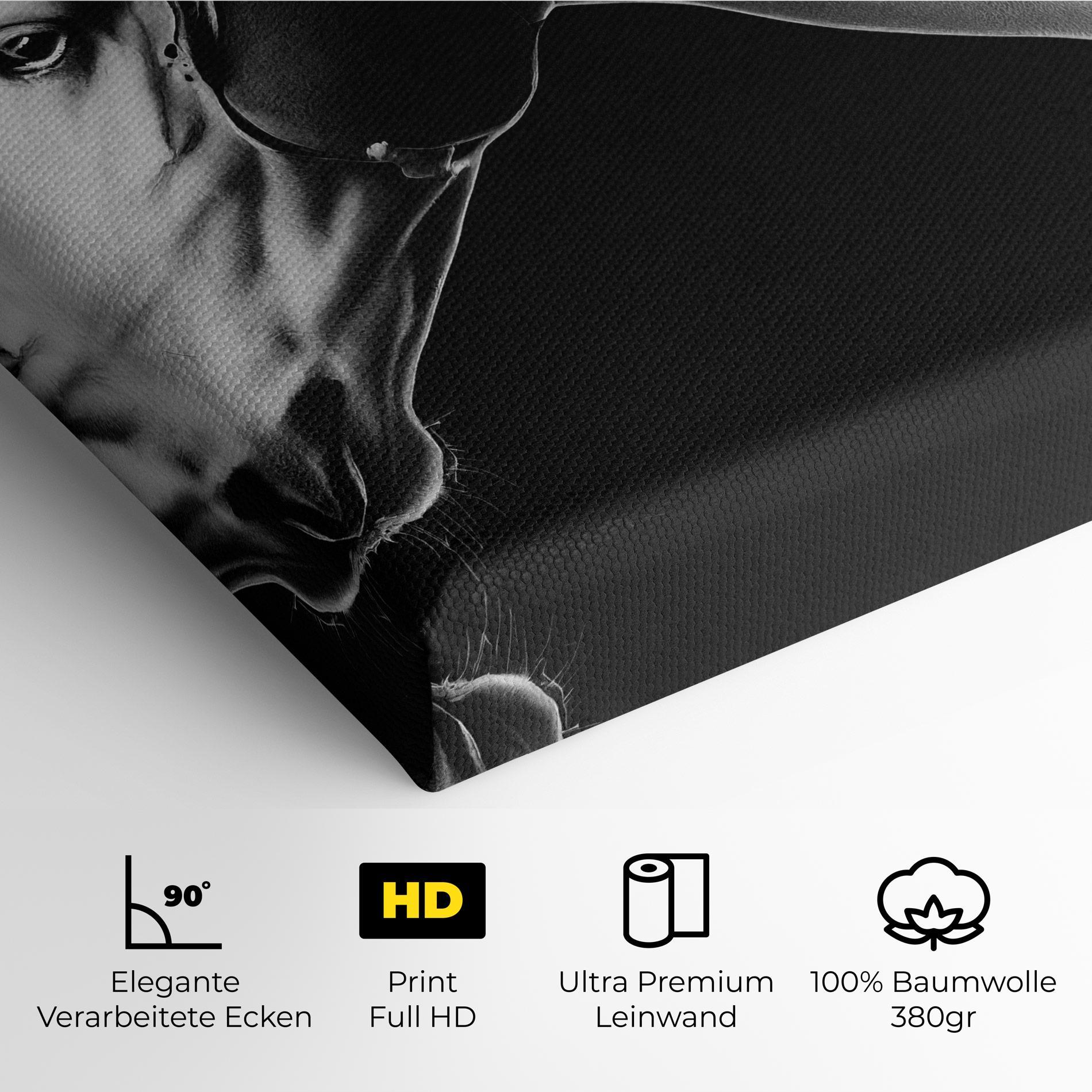 Leinwandbild Gray Horse Profile mockup 4