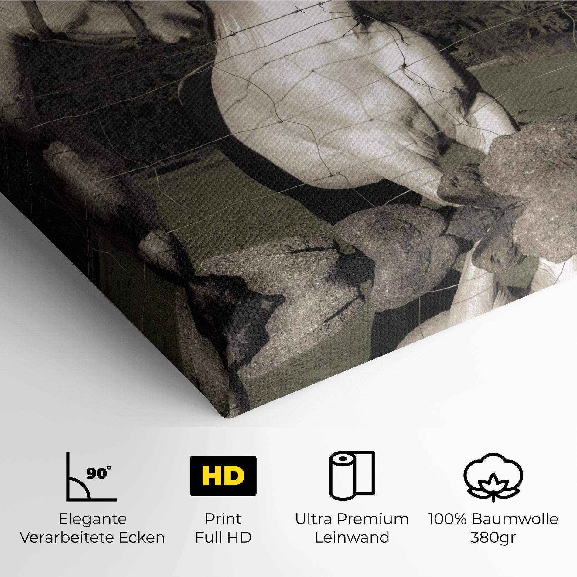Leinwandbild White Grey Horse mockup 4
