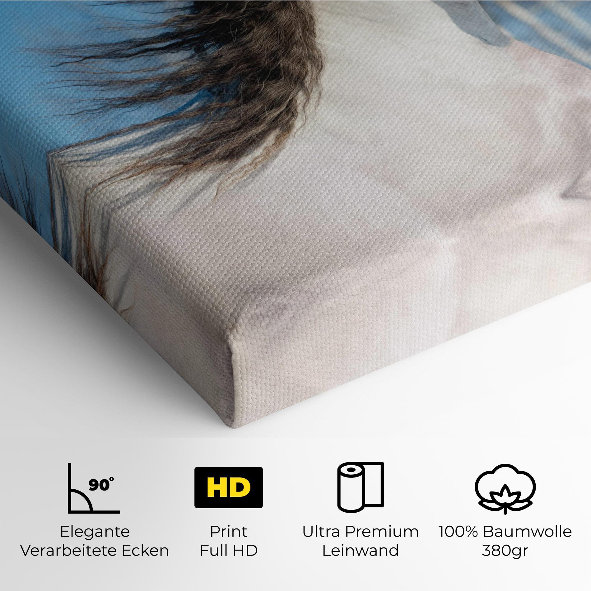 Leinwandbild Wild Black Hair Horse mockup 4