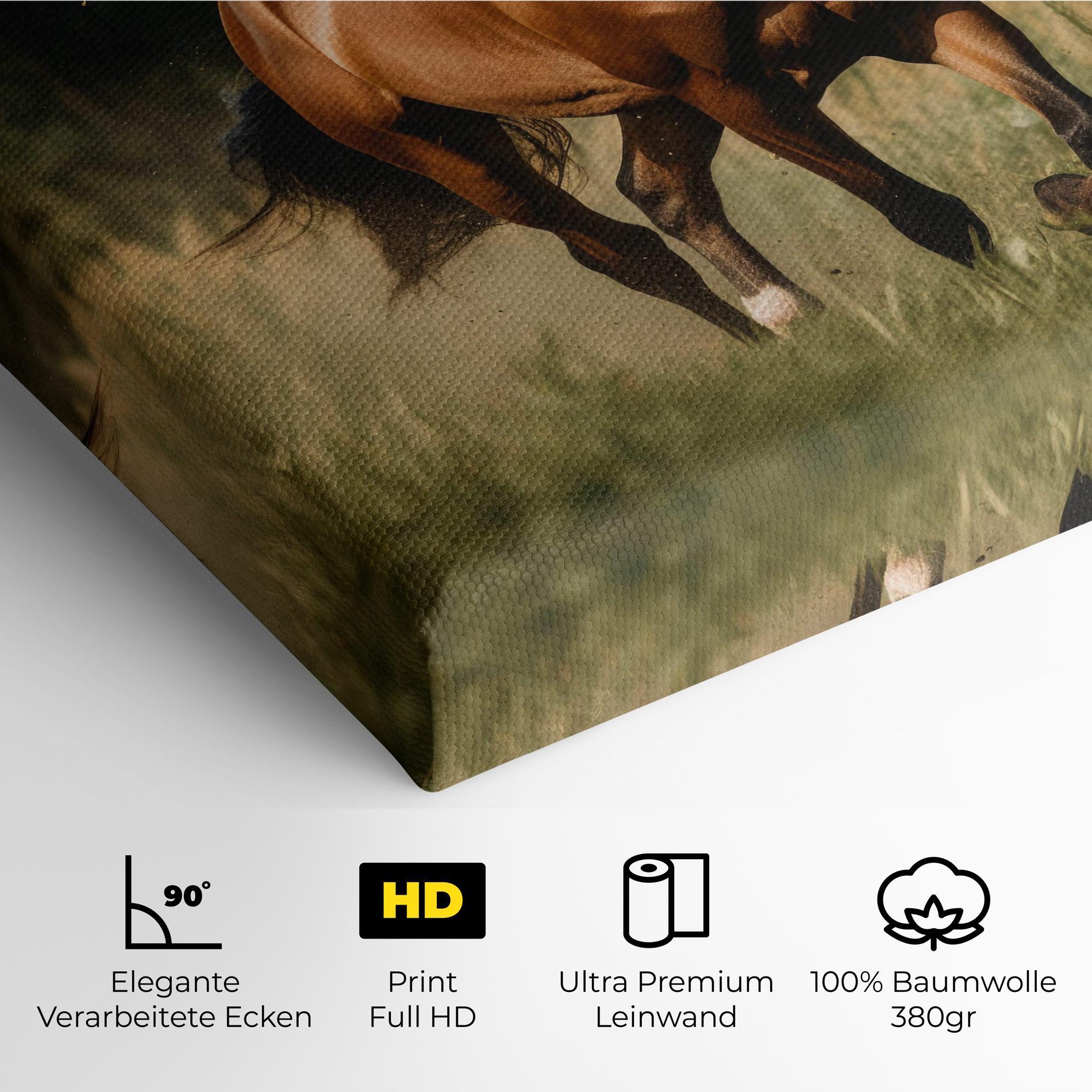 Leinwandbild Wild Horse Running mockup 4